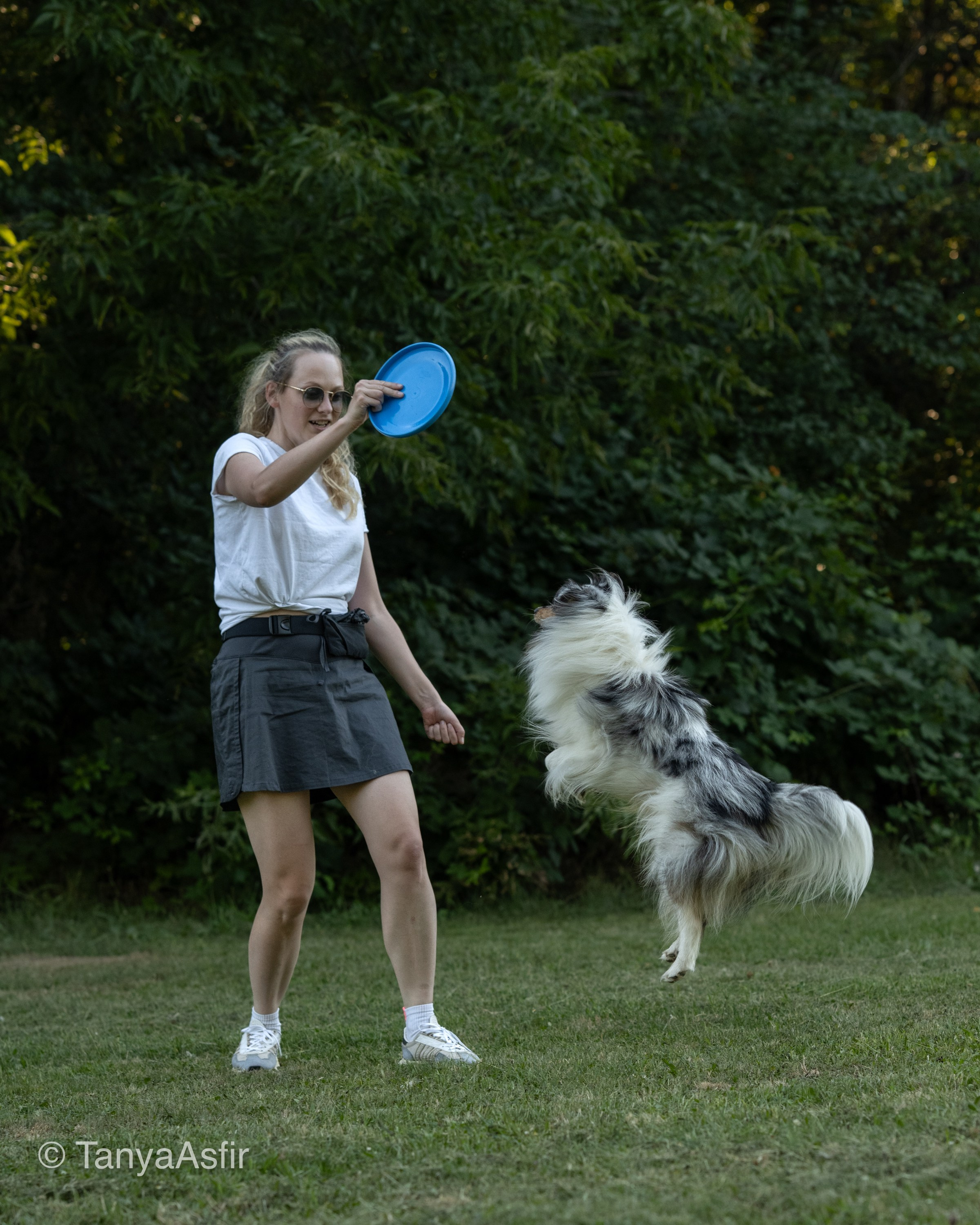 Professional dog photography: agility, frisbee, obedience, IGP. Tanya Asfir — Pet & Animal Photographer | Belgrade, Serbia