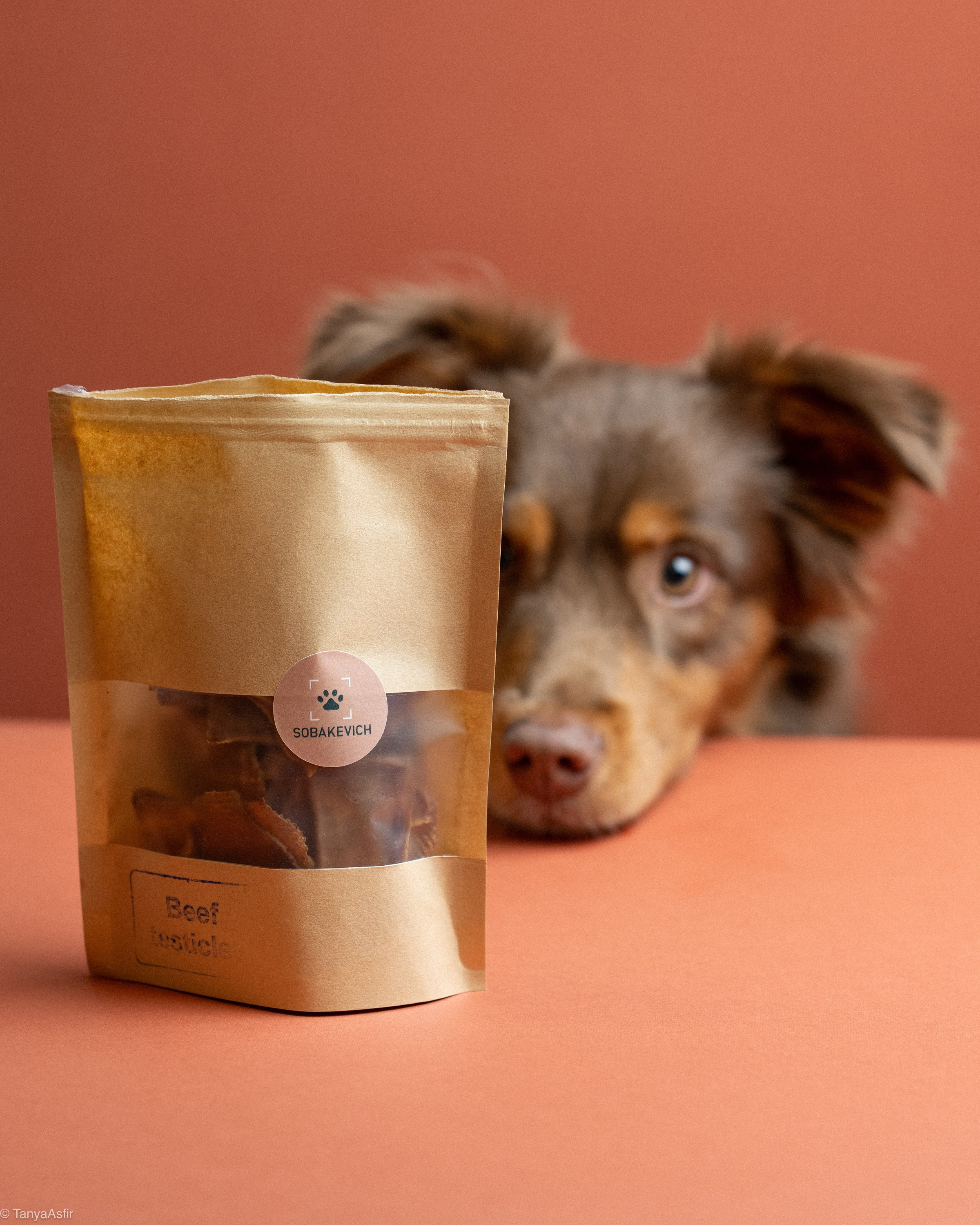 Commercial & UGC Pet Product Photography by Tanya Asfir. Tanya Asfir — Pet & Animal Photographer | Belgrade, Serbia