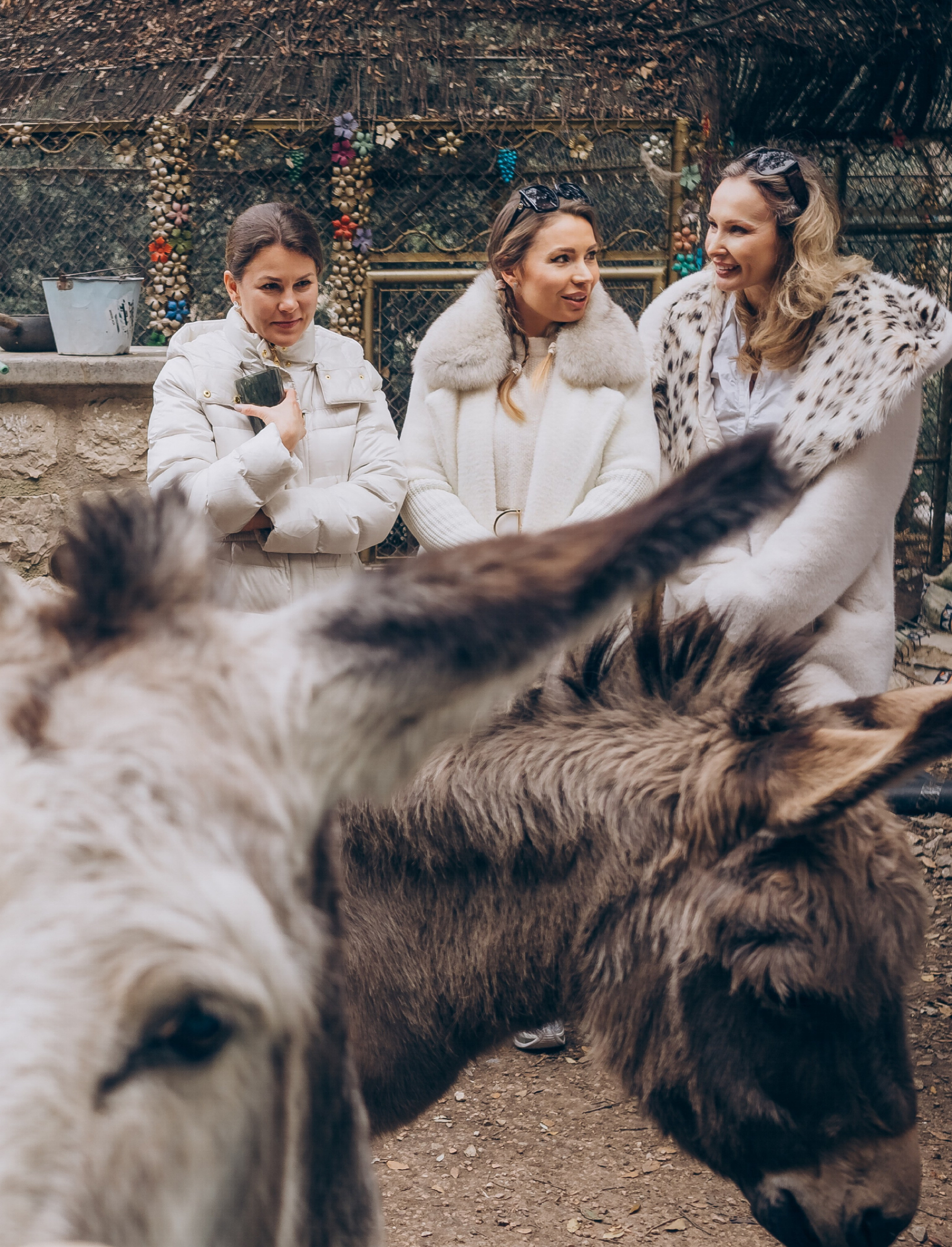 Gender party. Photographer in Mallorca