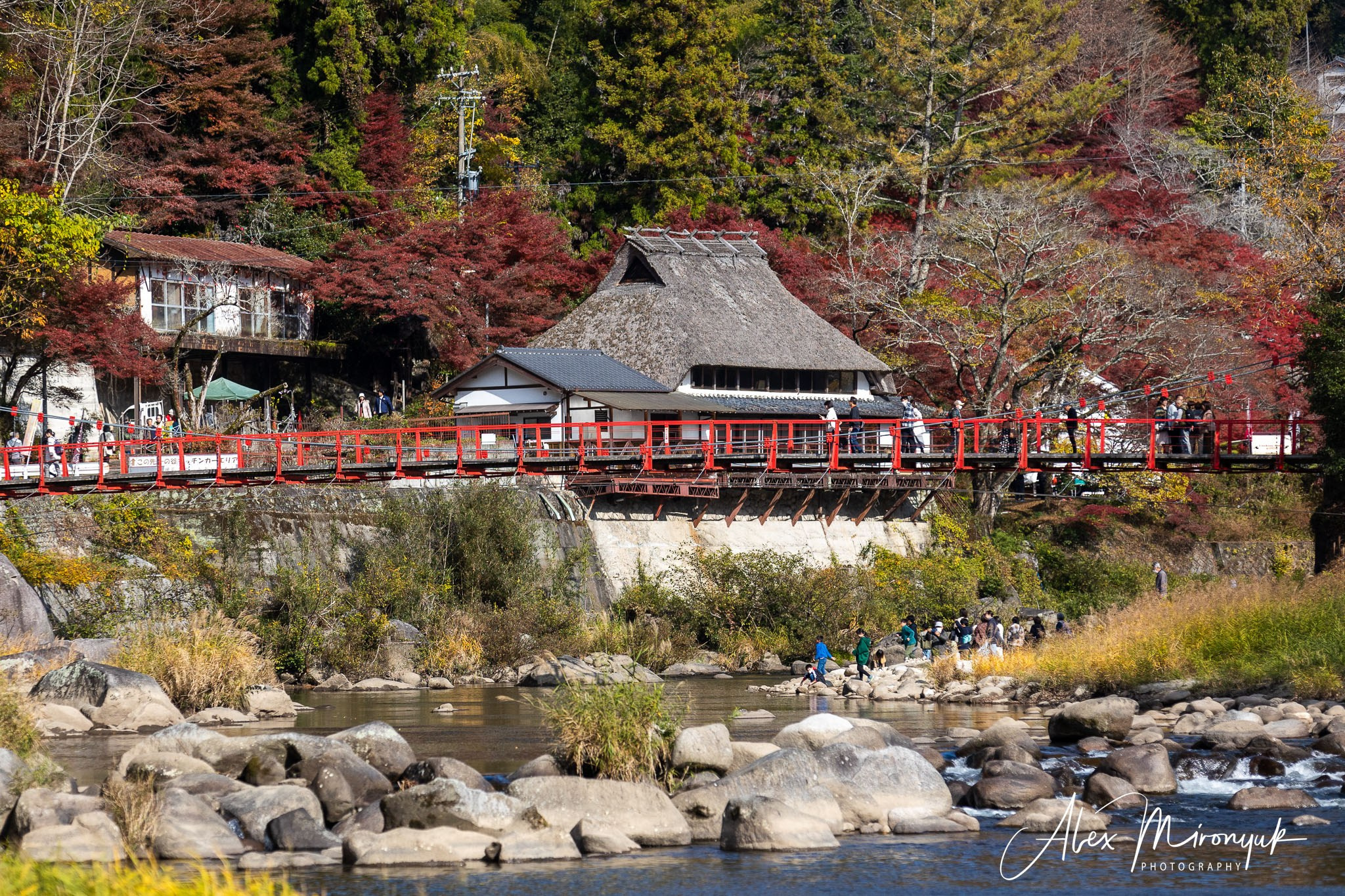 Autumn Colors of Japan. Pet, Senior, Landscape, portrait studio, photographer in Miami and Sou