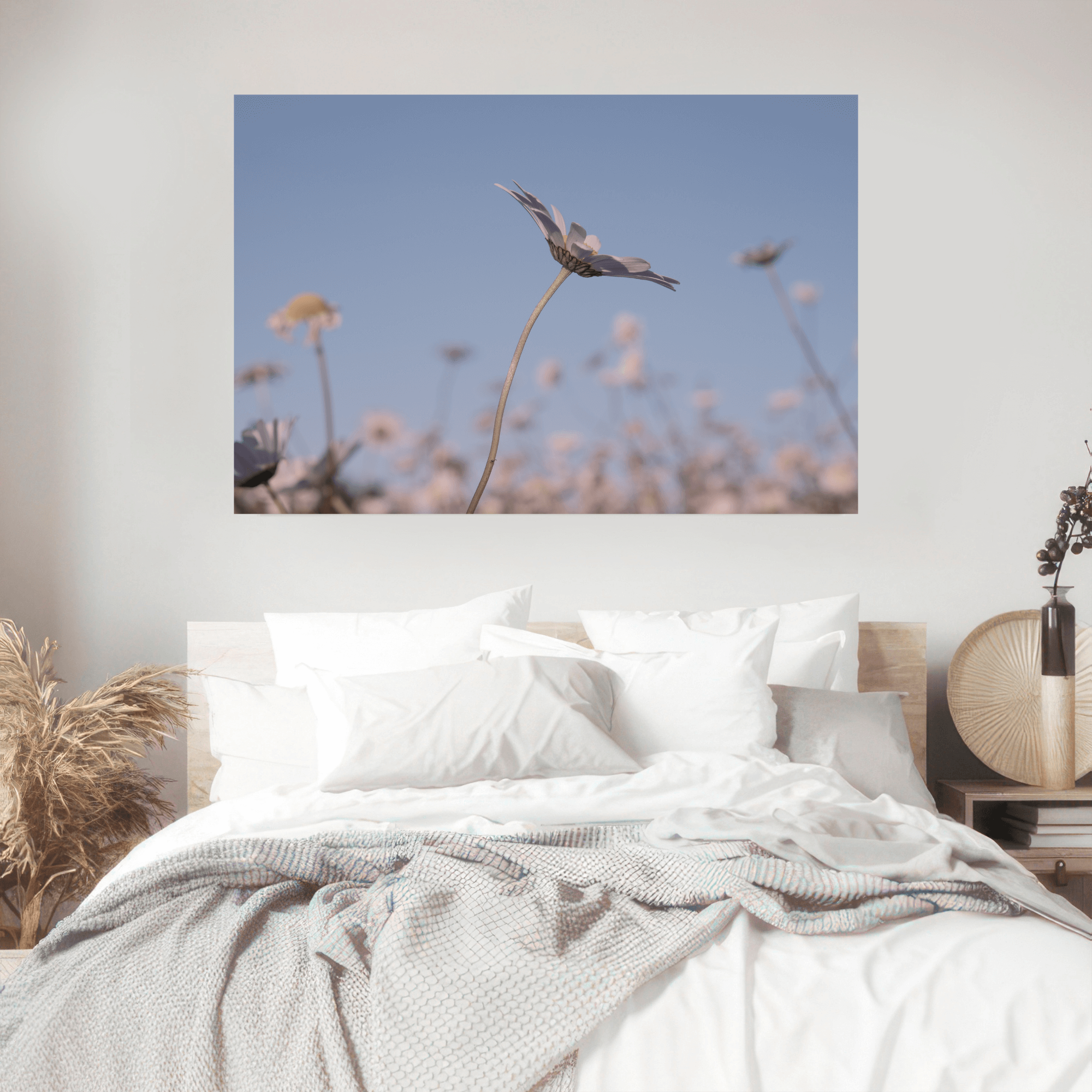 DAISIES. Natalja Poplavska — Visual artist, Photographer, East Sussex, London