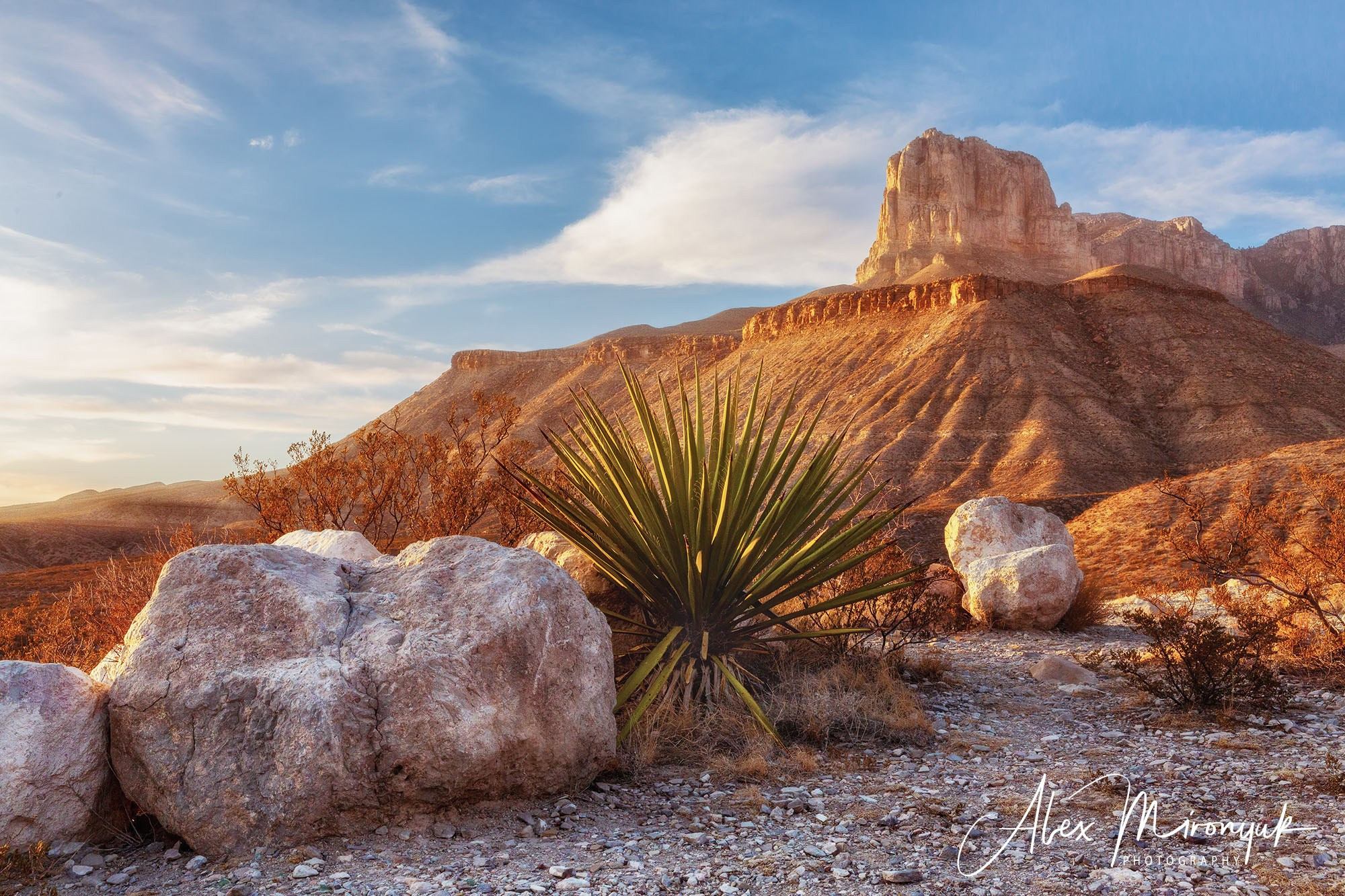The Best of New Mexico. Pet, Senior, Landscape, portrait studio, photographer in Miami and Sou