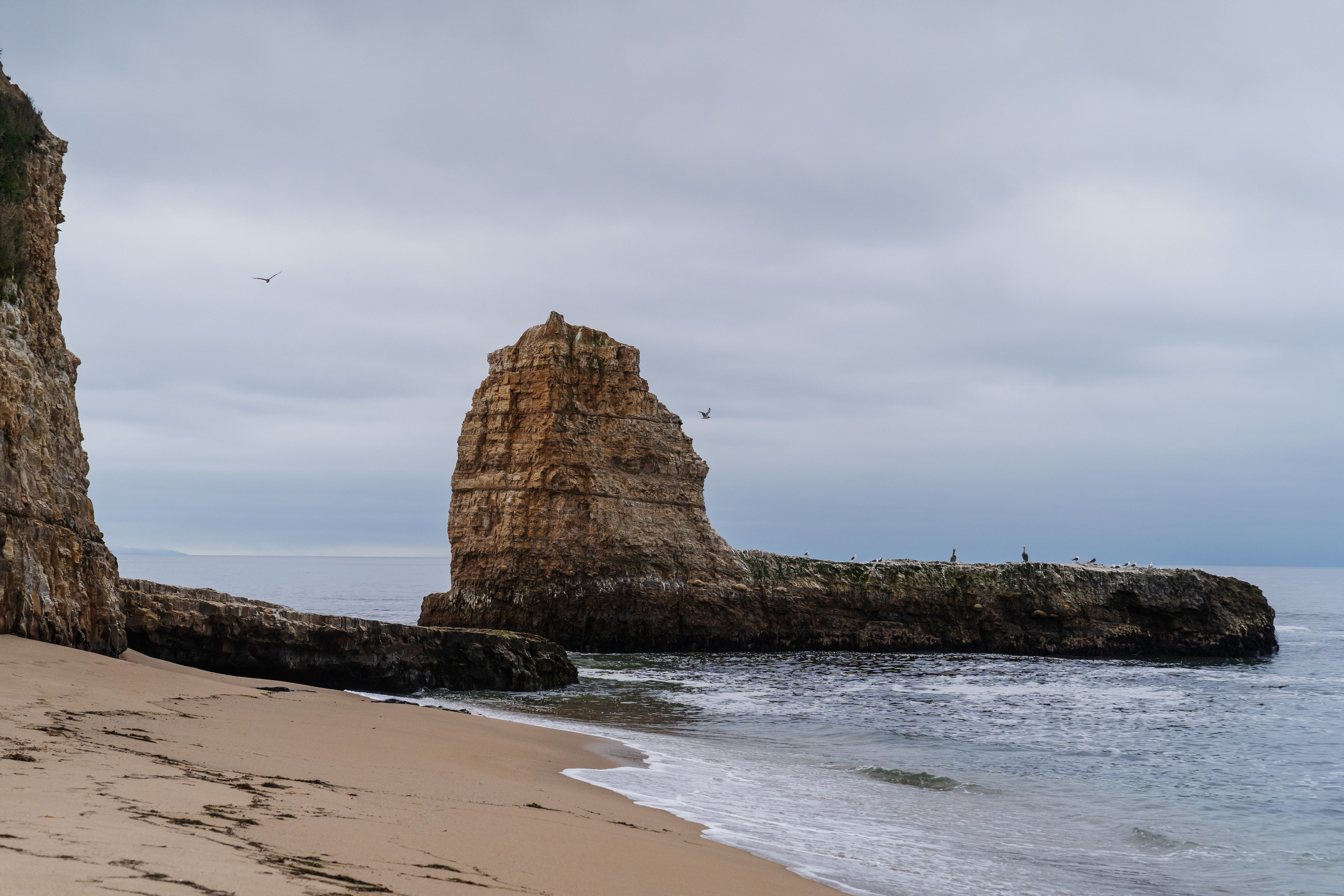 Barbarica. Photography