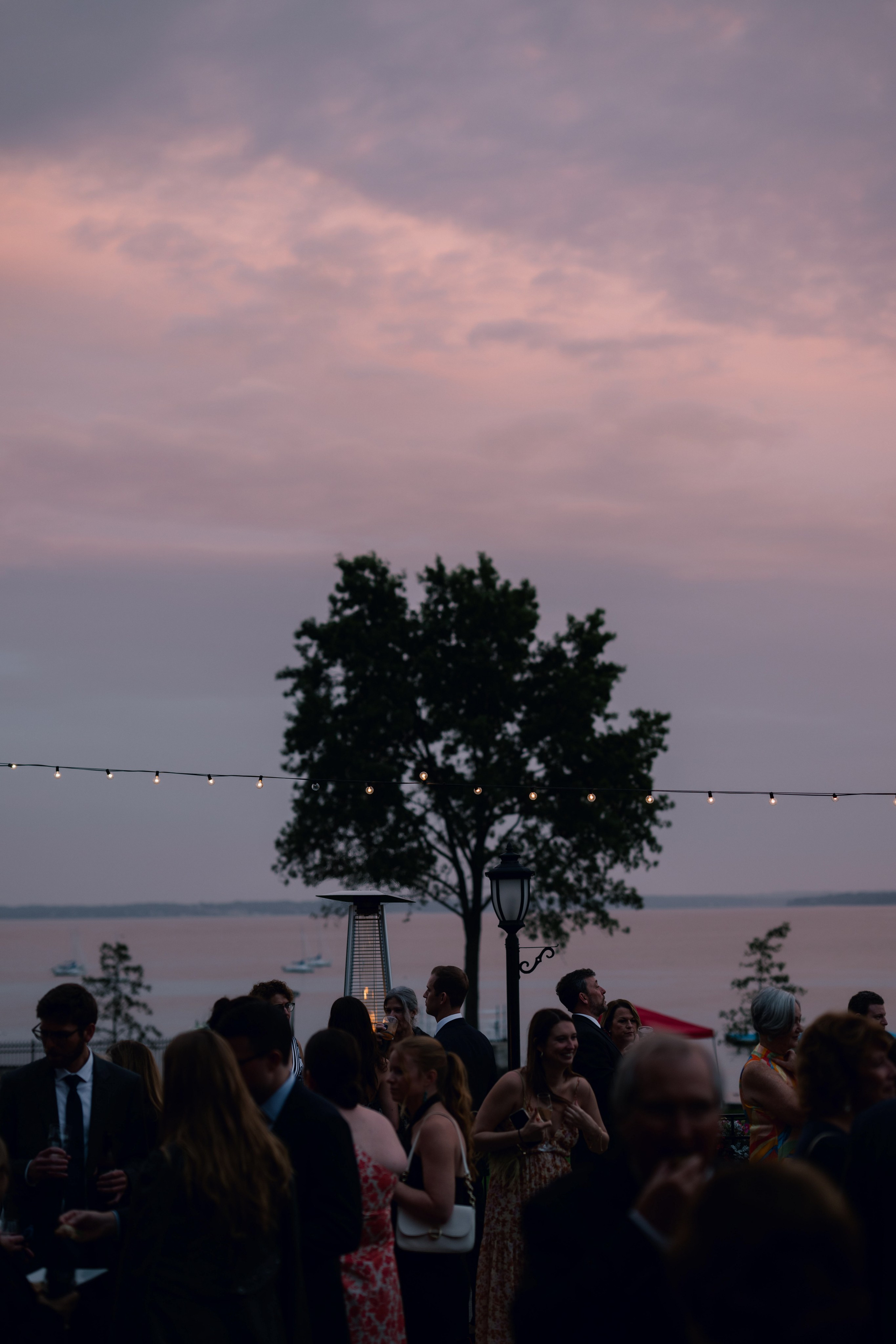 a crowd of people standing around a tree