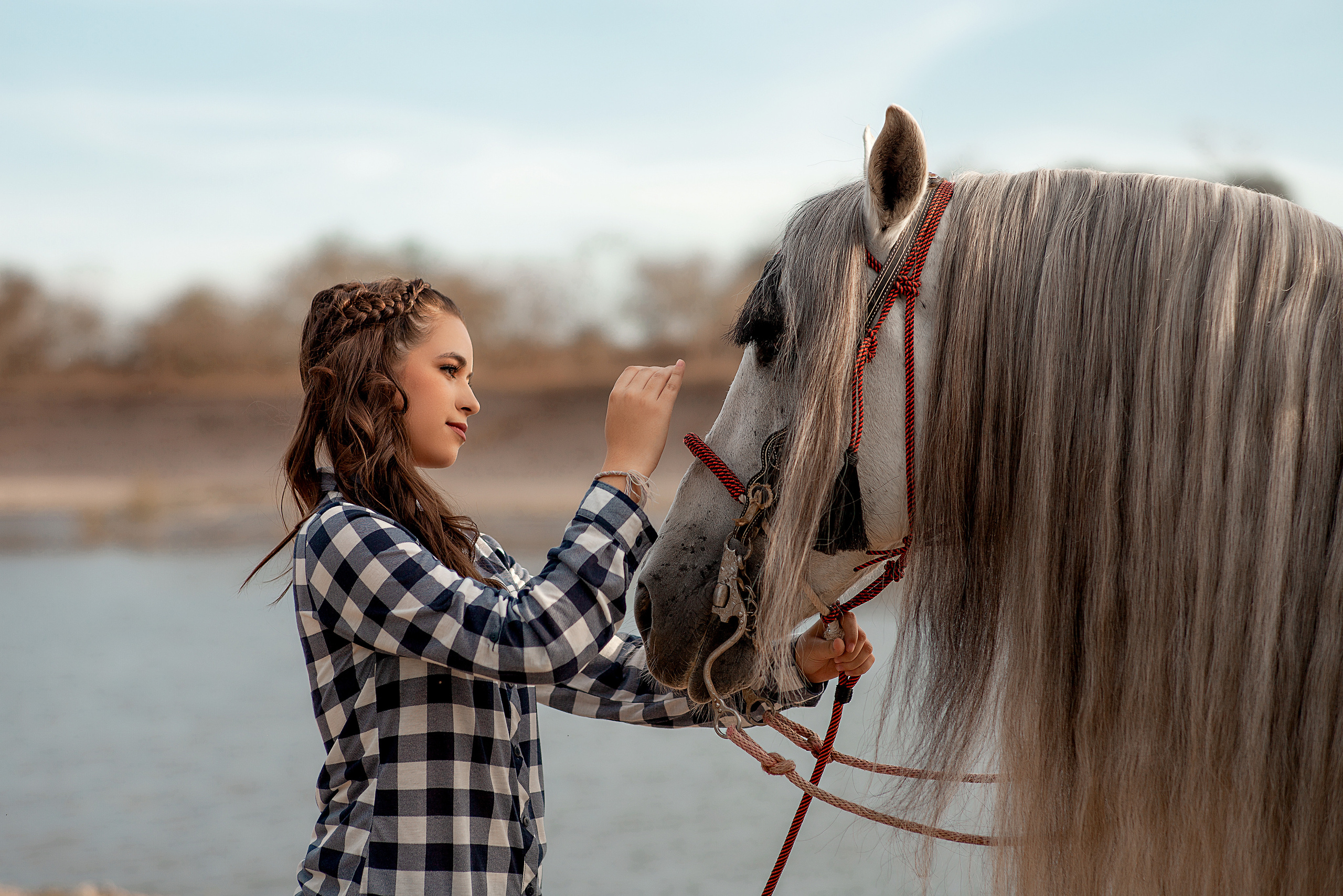 photoshoot with horse mexico