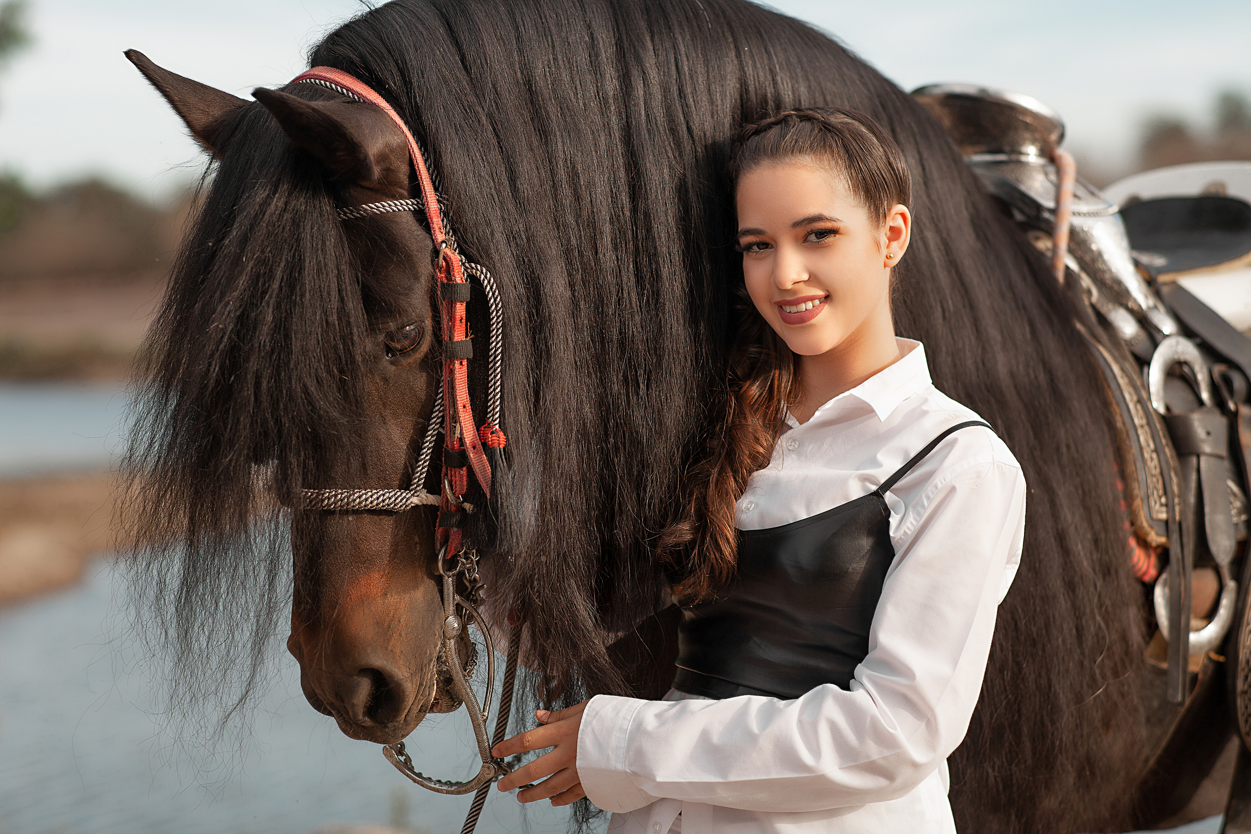 horse photography