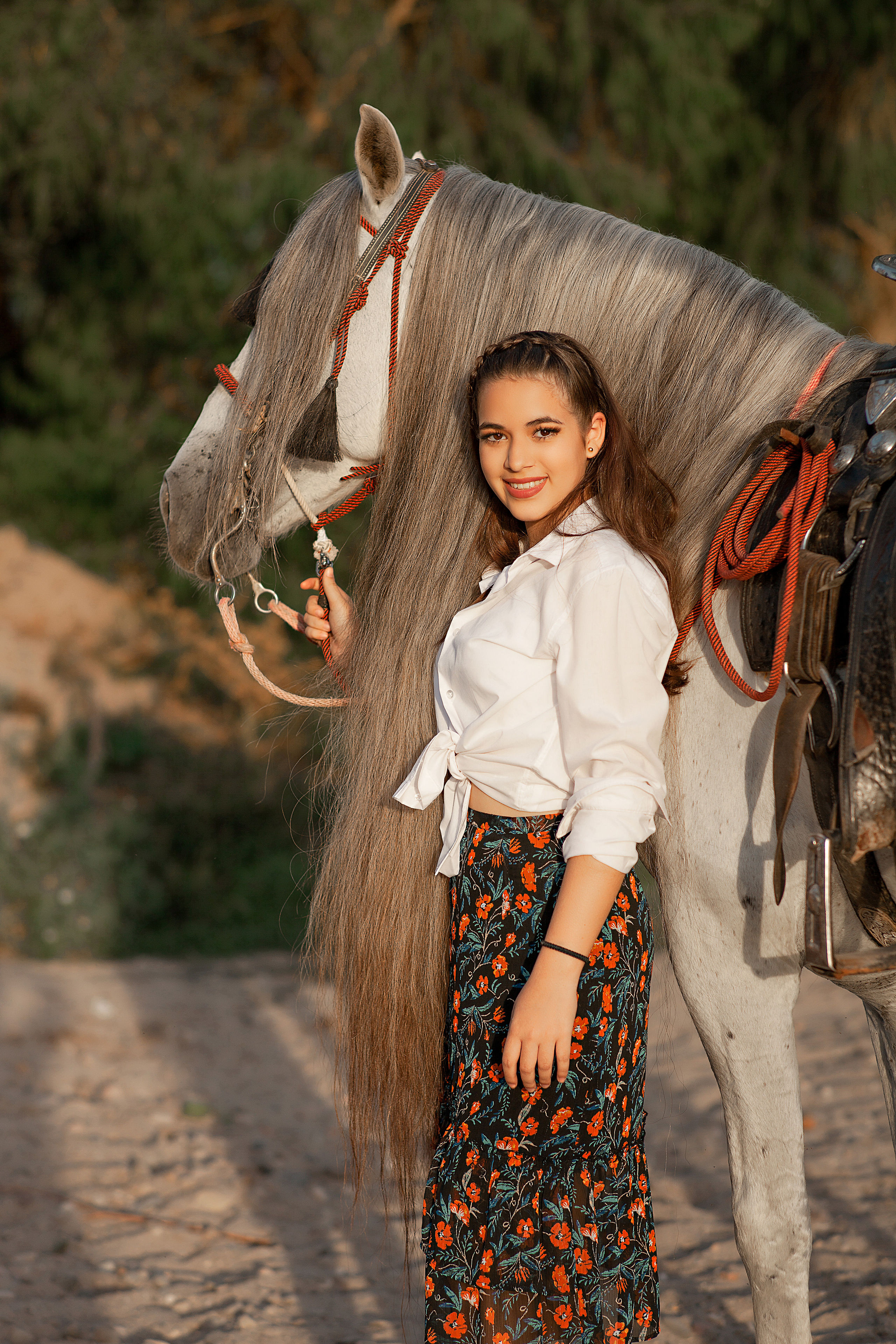 idea horse photo