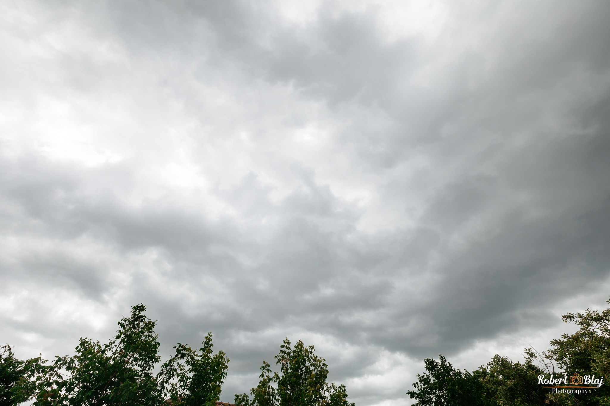 Veronica & Sebastian. Robert Blaj - Fotograf Nuntă Iași