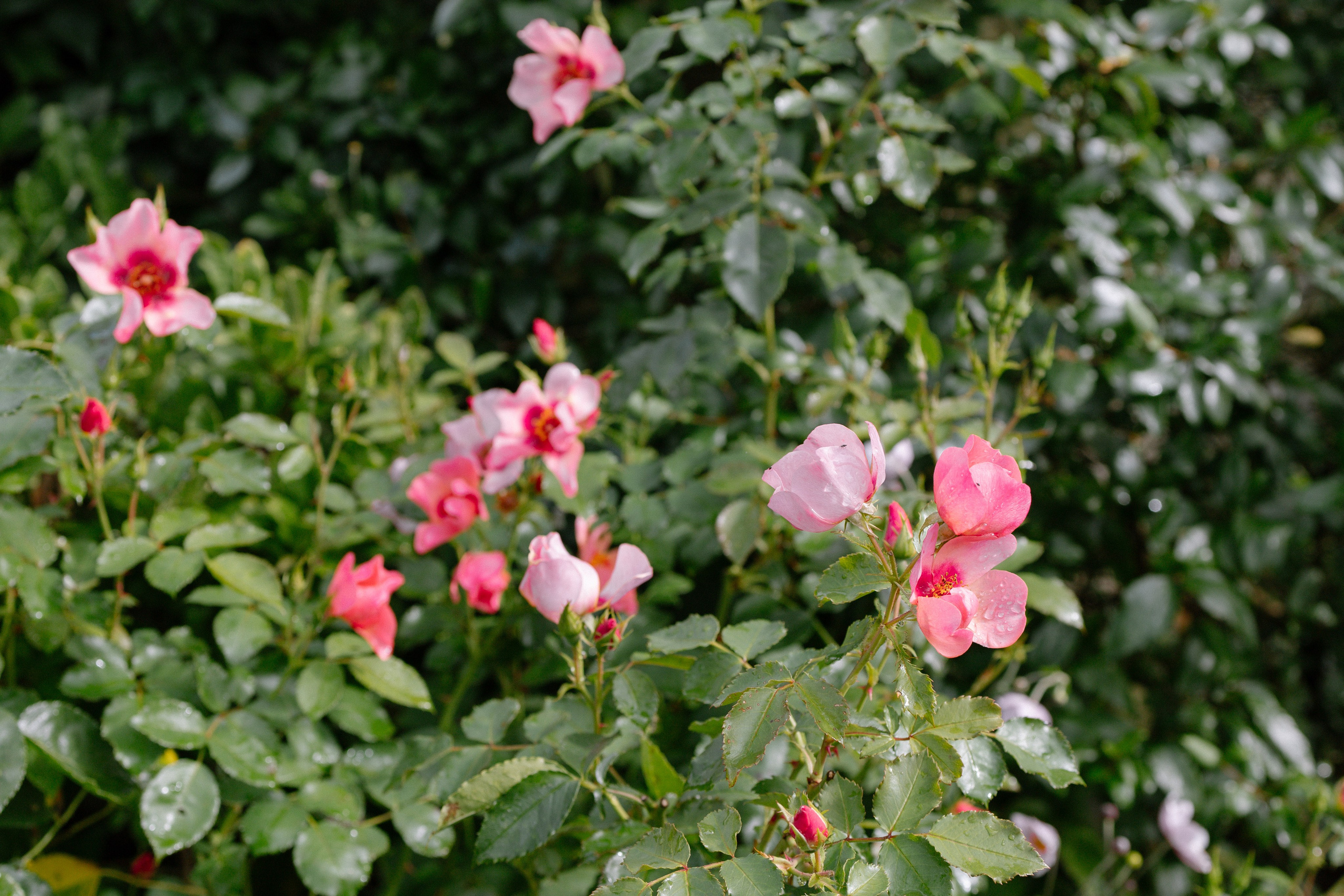 Intimate and emotional wedding. Timeless Wedding & Event Photography from London to the world
