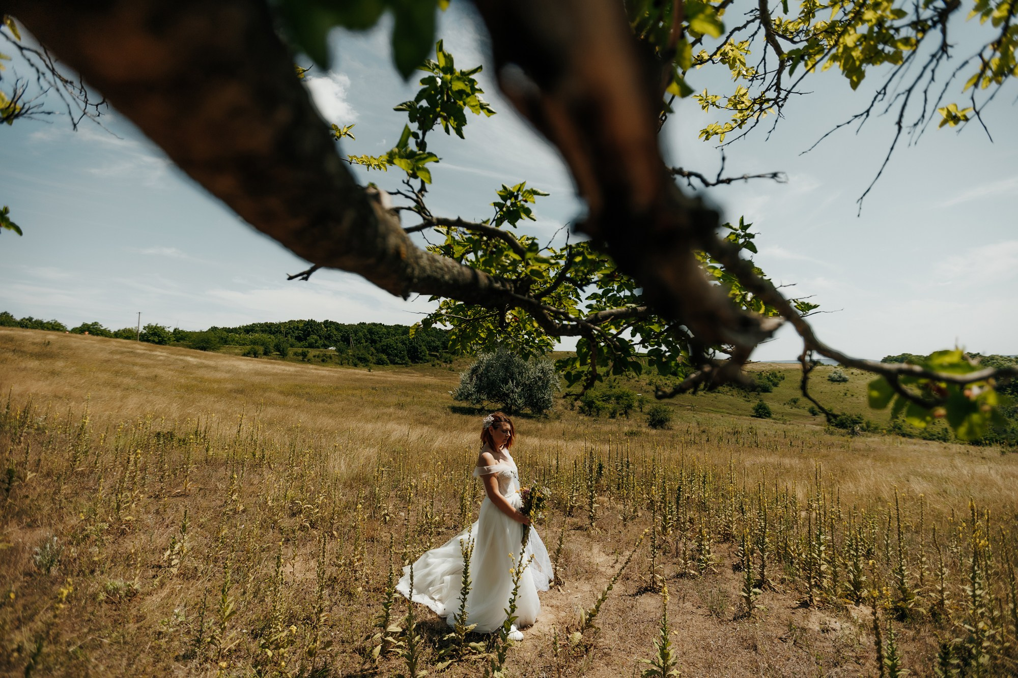 Andrei si Adelina. Wedding photographer and videographer