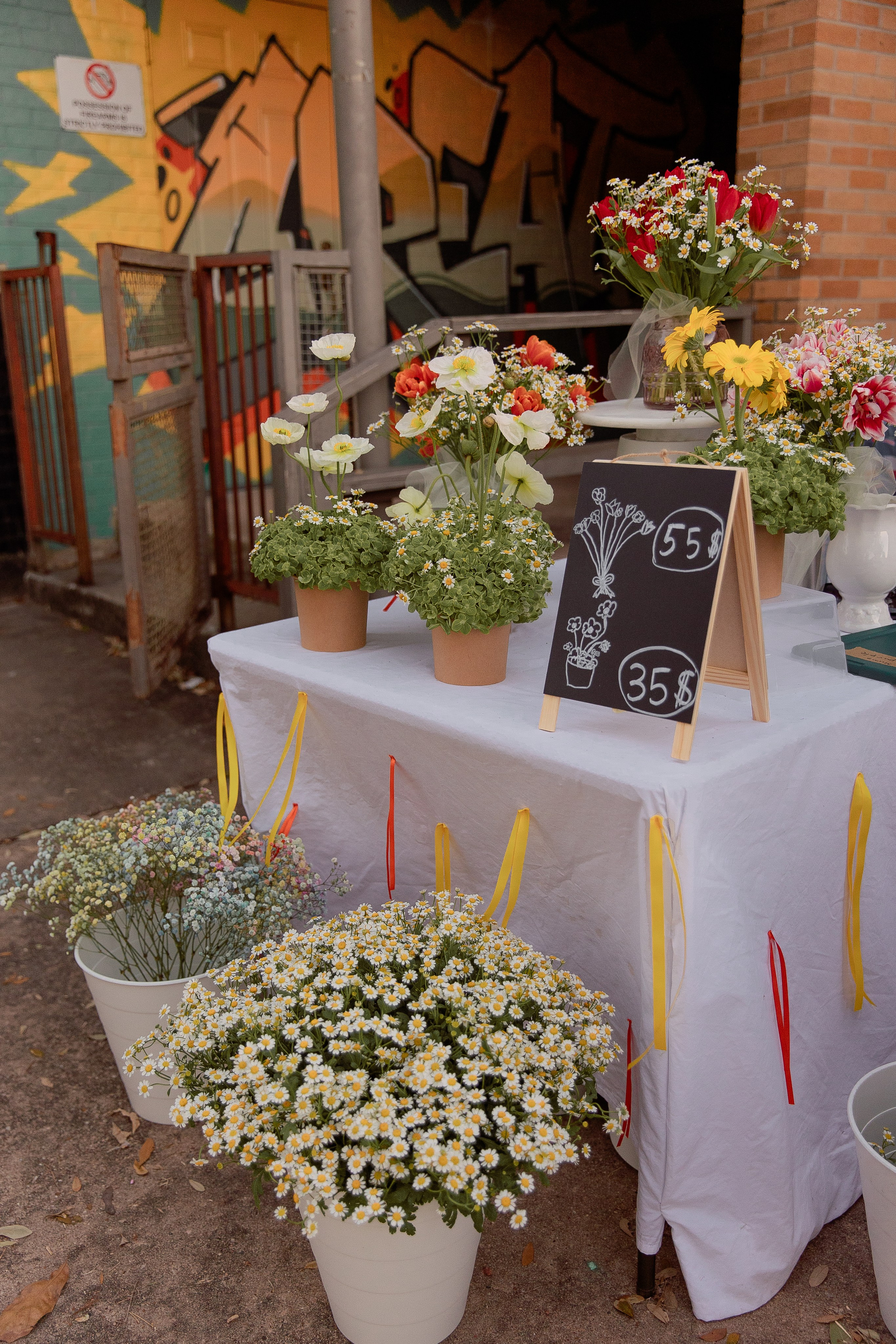 MASLENITSA 2025. Professional Photography in Austin, TX — Family, Newborn, Maternity