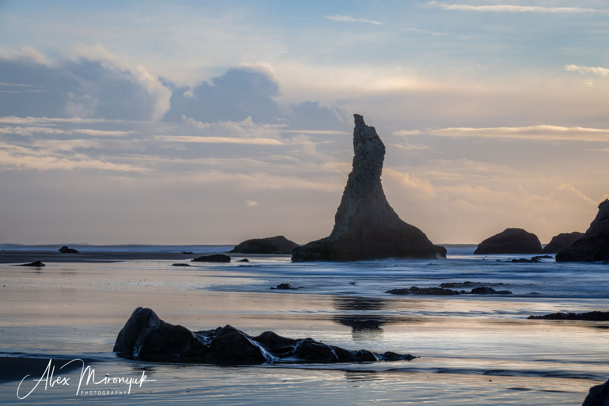 Oregon Coast Photo Workshop. Pet, Senior, Landscape, portrait studio, photographer in Miami and Sou