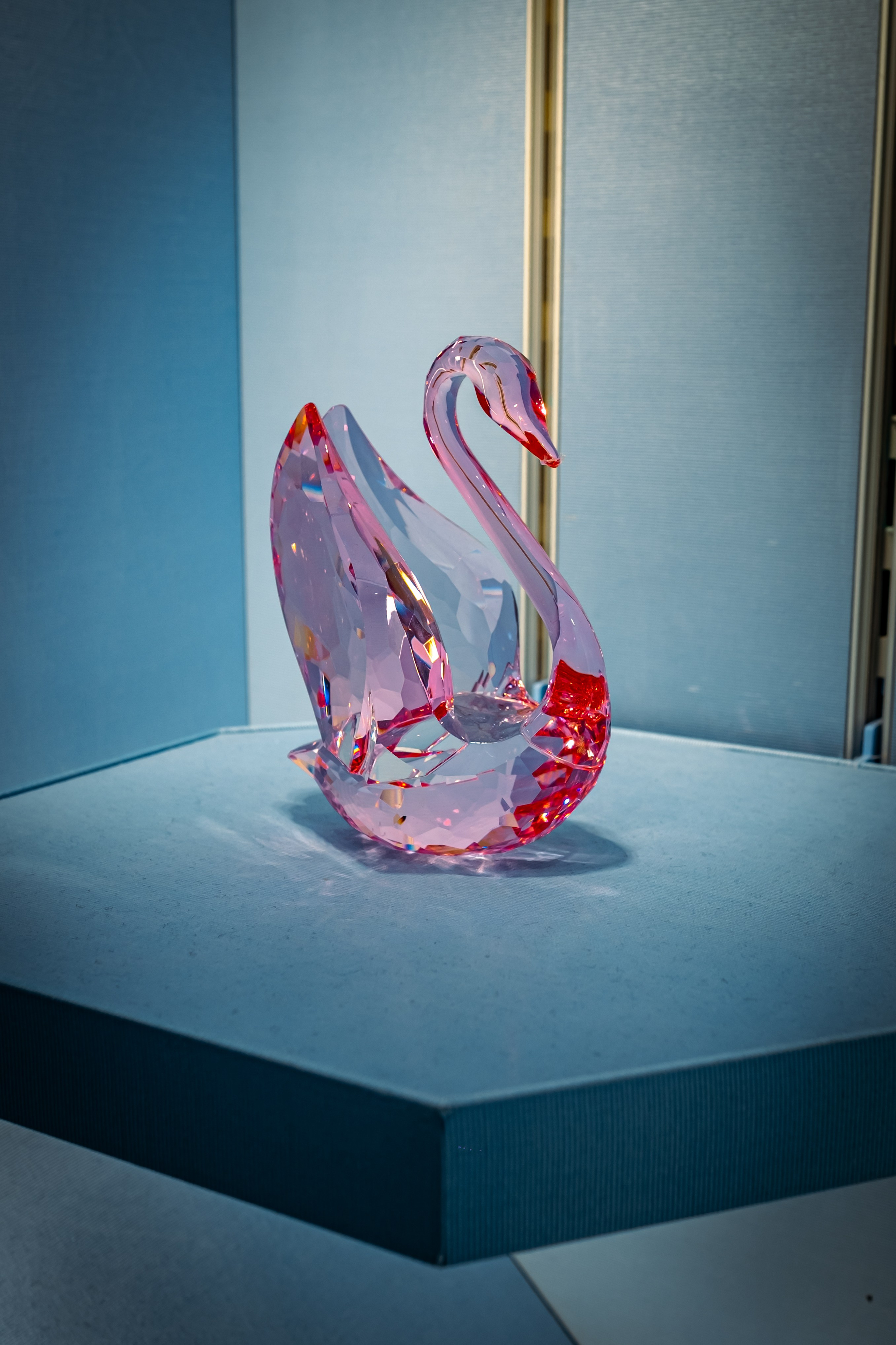 SWAROVSKI. Photographer in Seoul Dobrokvashina Natalya