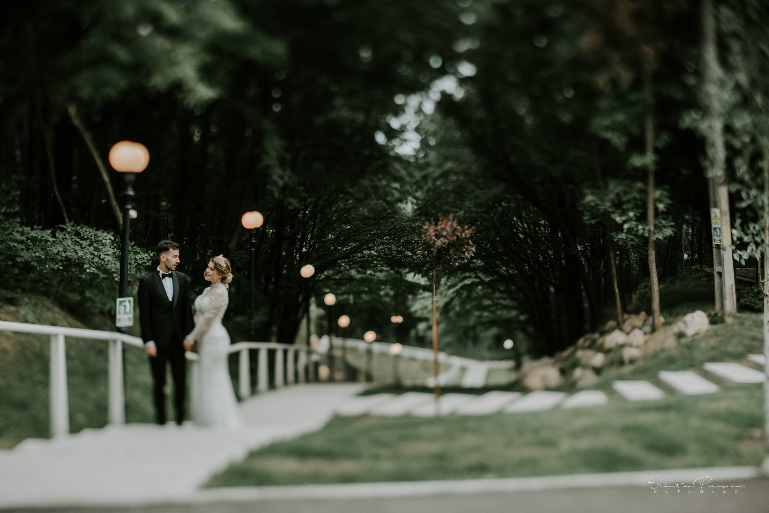 Larisa & Iulian. Sebastian Purusniuc Fotograf - Iasi