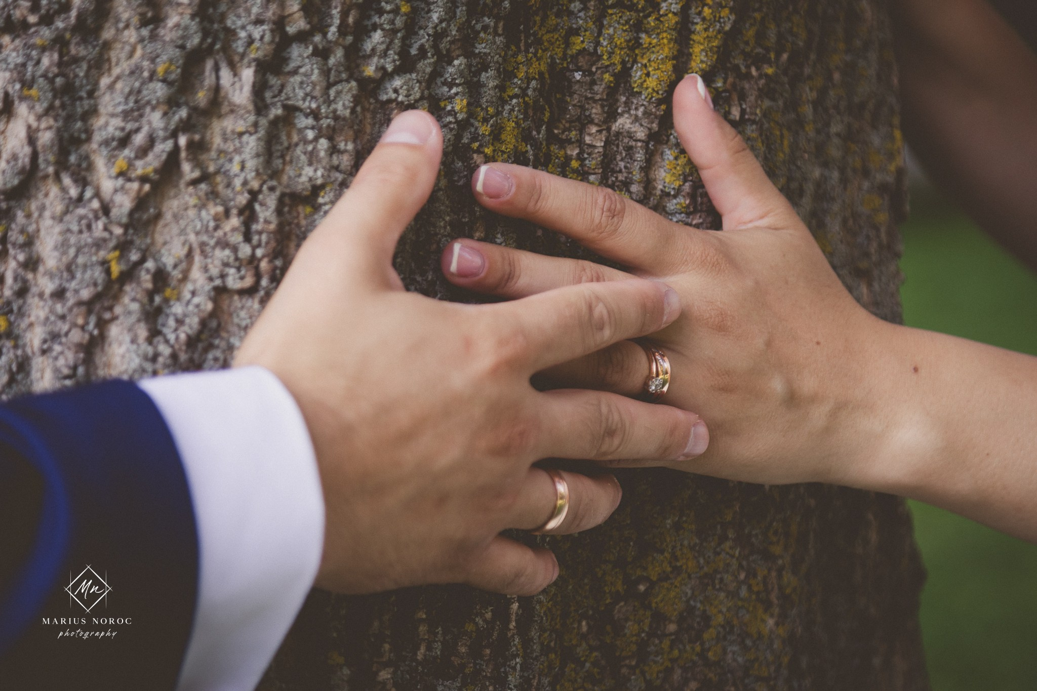 Alina & Petru | Castelul Miclauseni Iasi