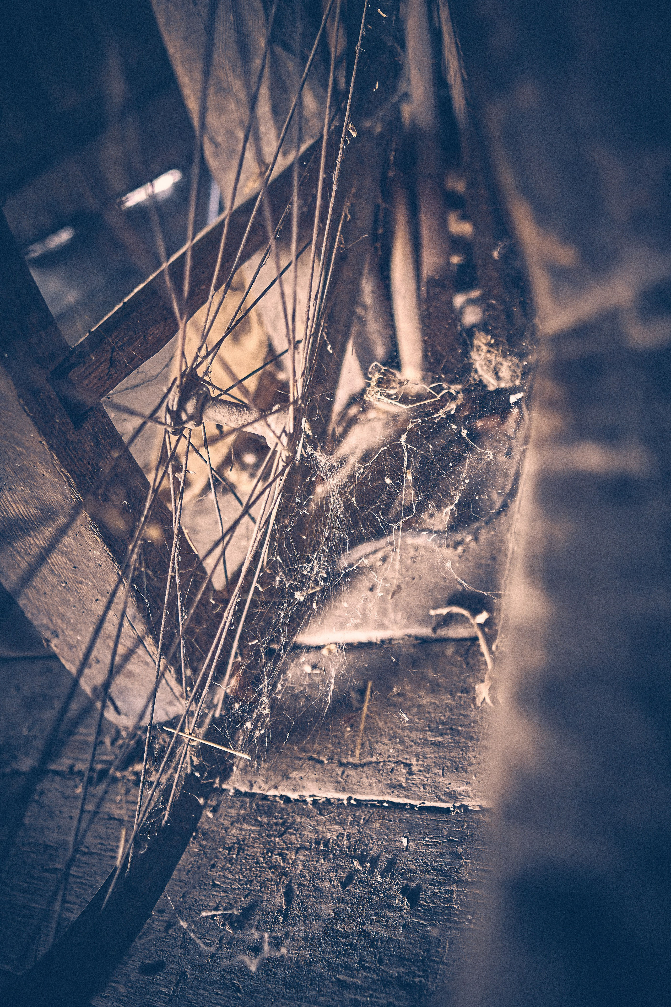 Chatka Pradziadka. Andriej Szypilow — Photography & Videography