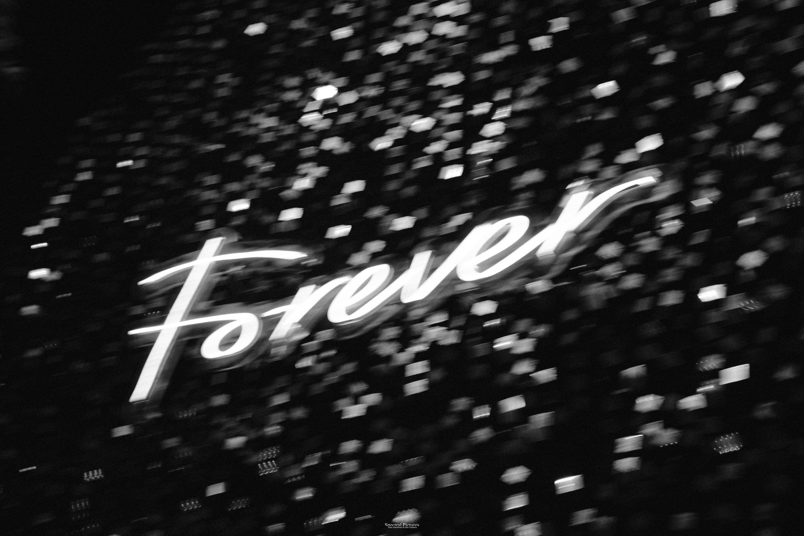 #THEPURALOVESTORY is a journey of two hearts growing in sync, across seasons, challenges, and memories