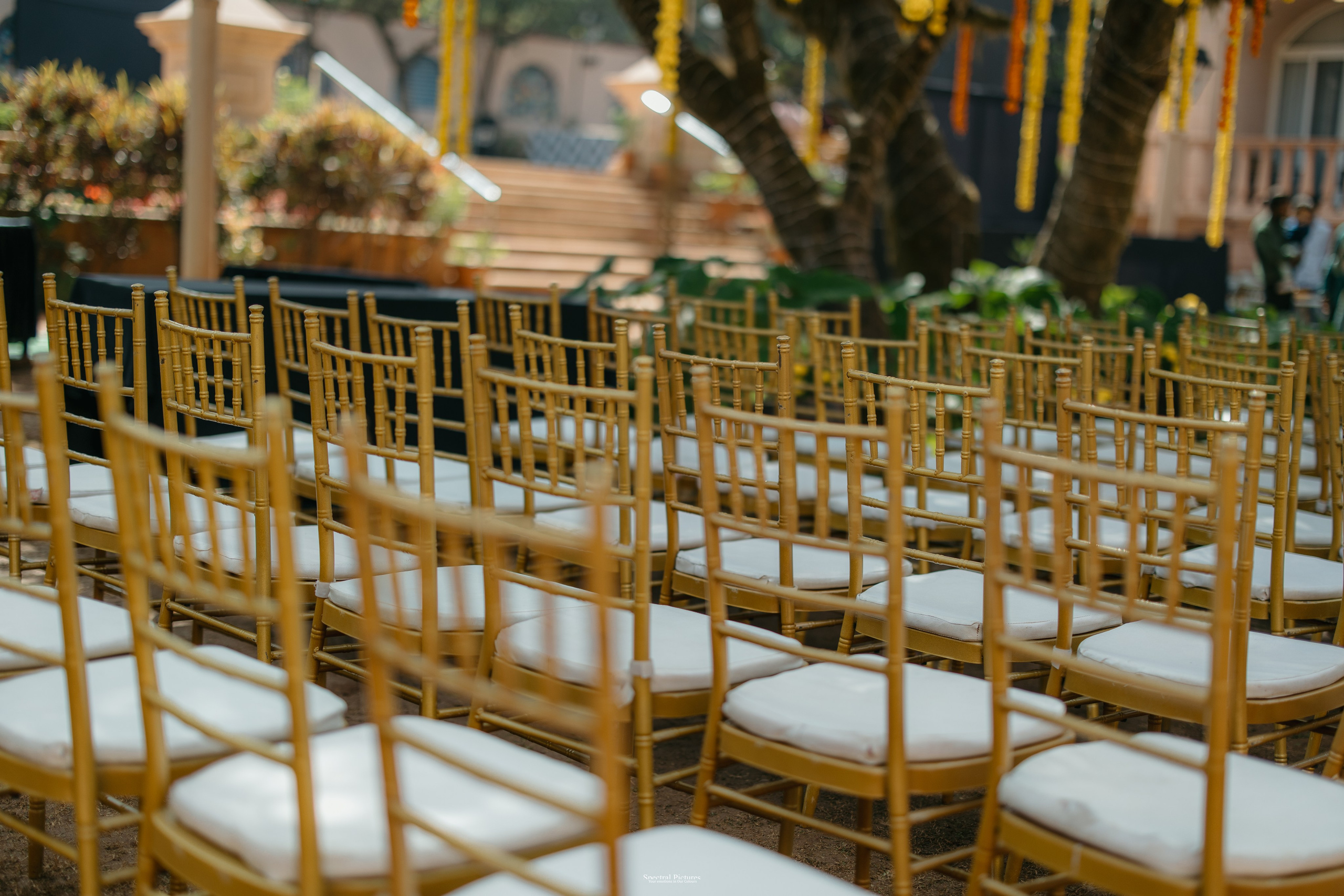 #THEPURALOVESTORY is a journey of two hearts growing in sync, across seasons, challenges, and memories