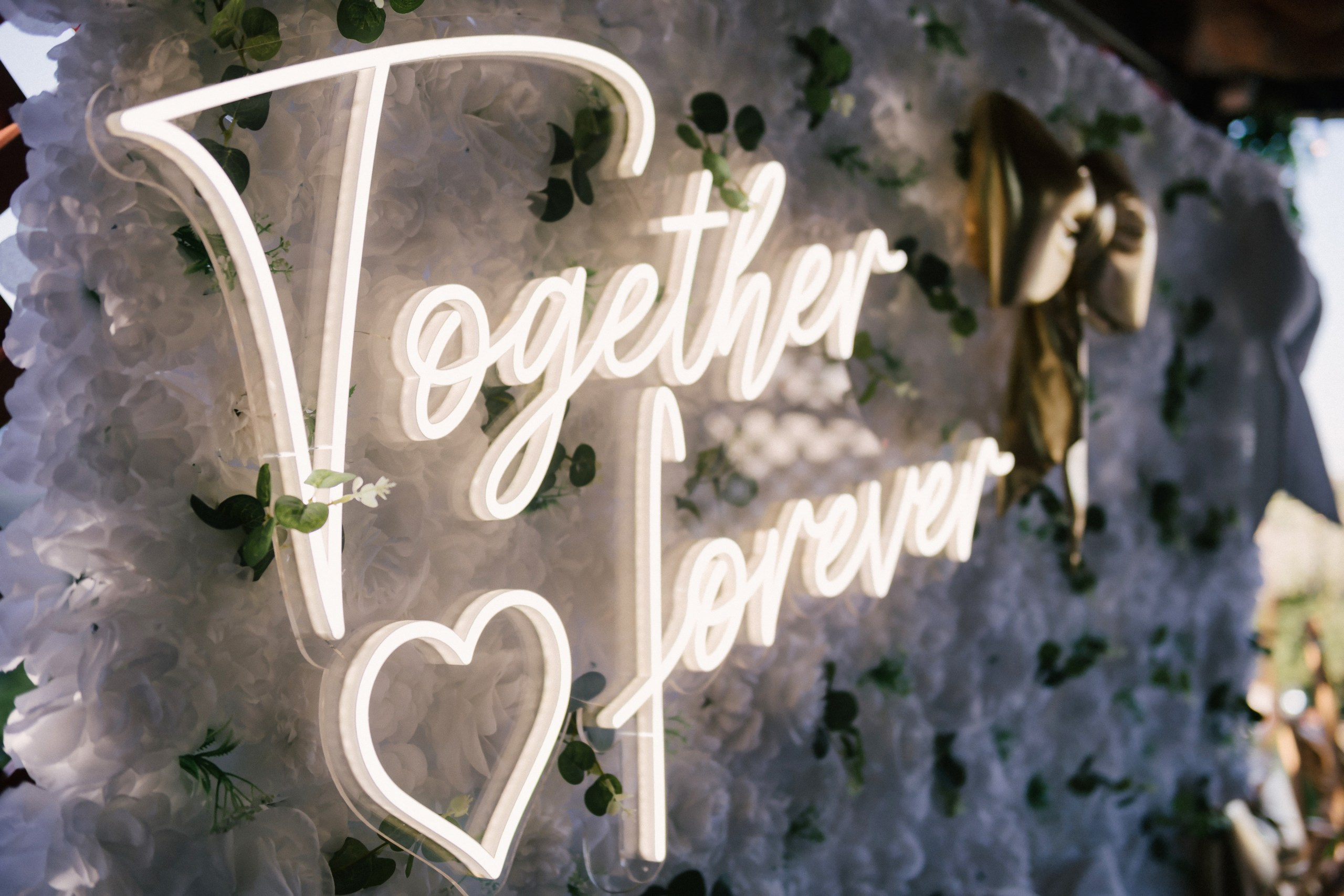 - nunta--fotograf-profesionist-botosani - fotografie-nunta-romantica - imagini-nunta-in-natura-alin-chirila-fotograf - fotografii-cuplu-indragostit-nunta-botosani - sedinta-foto-miri-andrei-iustina-alinofotostudio - amintiri-din-nunta-realizate-de-fotograf-profesionist - povestea-nuntii-andrei-si-iustina-in-imagini-alinofotostudio-fotograf evenimente- evenimente Botoșani -fotograf Suceava - fotograf Iași- servicii foto. servicii foto Botoșani. servicii foto video Botoșani. otograf-nunta-botosani-fotograf nunta. fotograf evenimente. fotograf nunta Botoșani. Alin chirila. Alin chirila fotograf. Alinofotostudio.- servicii foto. servicii foto Botoșani. servicii foto video Botoșani. fotograf nunta. fotograf evenimente. fotograf nunta Botoșani. Alin chirila. Alin chirila fotograf. Alinofotostudio.fotograf stare civilă,poze stare civilă,album foto stare civilă,servicii foto suceava,fotograf evenimente suceava,fotograf nuntă suceava,poze cununie civilă,ședință foto stare civilă,sesiune foto suceava,fotograf profesionist suceava,fotograf botosani,stare civila botosani,alinofotostudio,alin chirila fotograf.servicii foto. servicii foto Botoșani. servicii foto video Botoșani. fotograf nunta. fotograf evenimente. fotograf nunta Botoșani. Alin chirila. Alin chirila fotograf. Alinofotostudio.fotograf stare civilă,poze stare civilă,album foto stare civilă,servicii foto suceava,fotograf evenimente suceava,fotograf nuntă suceava,poze cununie civilă,ședință foto stare civilă,sesiune foto suceava,fotograf profesionist suceava,fotograf botosani,stare civila povestitor prin fotografiebotosani,alinofotostudio,alin chirila fotograf,servicii foto. servicii foto Botoșani. servicii foto video Botoșani. fotograf nunta. fotograf evenimente. fotograf nunta Botoșani. Alin chirila. Alin chirila fotograf. Alinofotostudio.fotograf stare civilă,poze stare civilă,album foto stare civilă,servicii foto suceava,fotograf evenimente suceava,fotograf nuntă suceava,poze cununie civilă,ședință foto stare civilă,sesiune foto suceava,fotograf profesionist suceava,fotograf botosani,stare civila botosani,alinofotostudio,alin chirila fotograf,cununie religioasă botoșani,andreea și neculai,capela militară botoșani,foto conacul zăicești,fotograf nuntă botoșani,fotograf cununie religioasă,foto evenimente botoșani,poze cununie capela militară,ședință foto zăicești,fotograf profesionist botoșaniMire și mireasă – Sergiu & Liliana – ziua nunții, 2024 - Emoții în ziua nunții – Sergiu și Liliana - Dansul mirilor – fotografie artistică nuntă 2024 - Sedinta foto romantică în natură – Sergiu & Liliana - Rochia de mireasă și detalii de nuntă elegan-Album de cununie civilă Florin și Anda – Fotografii profesionale realizate de Alin Chirilă în Botoșani -fotograf prin fotografie-Ședință foto Trash the Dress pe muntele Rarău cu Iulian și Iuliana – fotografie de cuplu, natură montană, emoție autentică surprinsă de Alin Chirilă, povestitor prin fotografie.- "Iulian și Iuliana pe crestele Rarăului – fotografie Trash the Dress în natură" - "Cuplu îmbrățișat la apus pe muntele Rarău – ședință foto după nuntă" - "Rochie de mireasă în vânt pe munte – Trash the Dress Rarău-1. Iulian și Iuliana pe muntele Rarău – ședință foto Trash the Dress în natură, cu peisaj montan spectaculos 2. Cuplu în îmbrățișare pe Rarău – emoție autentică surprinsă după nuntă 3. Rochie de mireasă în bătaia vântului – fotografie artistică Trash the Dress în munți 4. Mire și mireasă privind spre orizont – dragoste și libertate pe muntele Rarău 5. Iuliana zâmbind în rochia de mireasă – portret în natură, Trash the Dress 6. Iulian ținându-și mireasa de mână – ședință foto romantică pe munte 7. Detaliu cu rochia pe stâncă – estetică naturală Trash the Dress Rarău 8. Cuplu în mers pe poteca Rarăului – fotografie simbolică de după nuntă 9. Apus de soare pe Rarău în spatele mirilor – imagine de poveste Trash the Dress 10. Iulian și Iuliana râzând împreună – momente autentice surprinse de Alin Chirilă, povestitor prin fotografie-fotograf-nunta-cerbu-botosan trash-the-dress-botosani Alin Chirilă Fotograf – fotograf de nuntă Botoșani-fotograf nuntă Botoșani-fotograf nuntă Cerbu Botoșani-fotograf profesionist nuntă Botoșani-fotografie de nuntă Botoșani-fotograf evenimente Botoșani-fotograf nuntă Moldova-fotograf trash the dress Botoșani - fotograf pregătirea mirilor Botoșani -fotograf ceremonie religioasă nuntă-fotograf petrecere nuntă Botoșani- fotograf nuntă Botoșani pregătirea mirelui- pregătirea mirelui fotografie nuntă Cerbu Botoșani-fotograf nuntă Botoșani pregătirea miresei -mireasă pregătiri nuntă Cerbu Botoșani-fotograf nuntă Botoșani nașii mirilor-ceremonie religioasă nuntă Cerbu Botoșani-fotograf nuntă Botoșani ceremonie religioasă biserică-petrecere nuntă Cerbu Botoșani invitați dans-fotograf nuntă Botoșani petrecere restaurant-ședință foto trash the dress-fotograf trash the dress Botoșani ședință foto după nuntă-Fotograf nuntă Botoșani – galerie foto reală de la evenimente