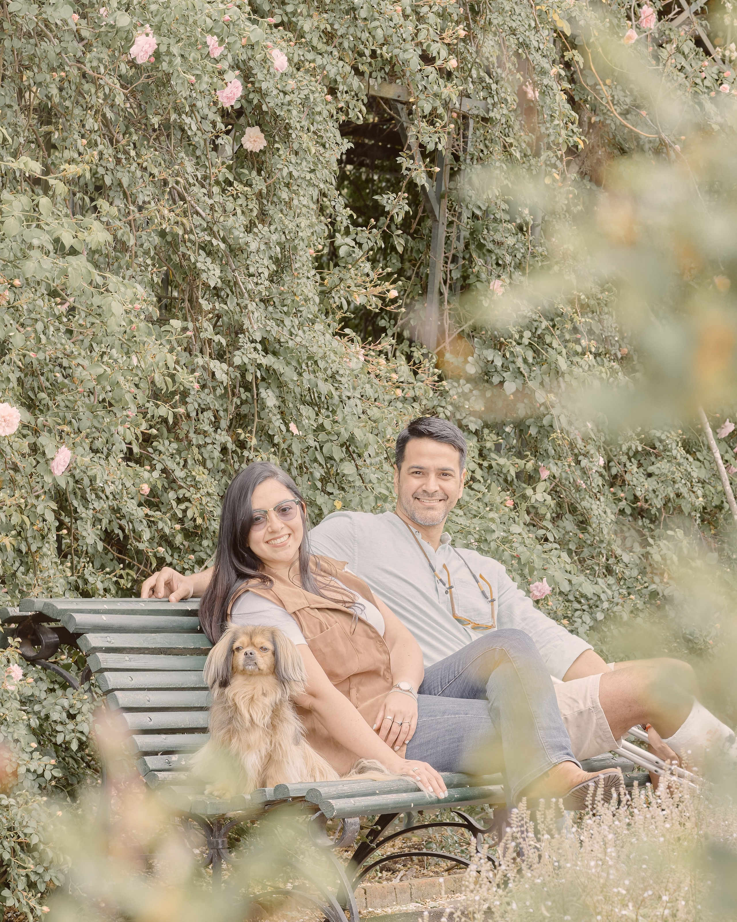 Valssy – Fotografía de mascotas en Uruguay. Retratos profesionales de perros y gatos