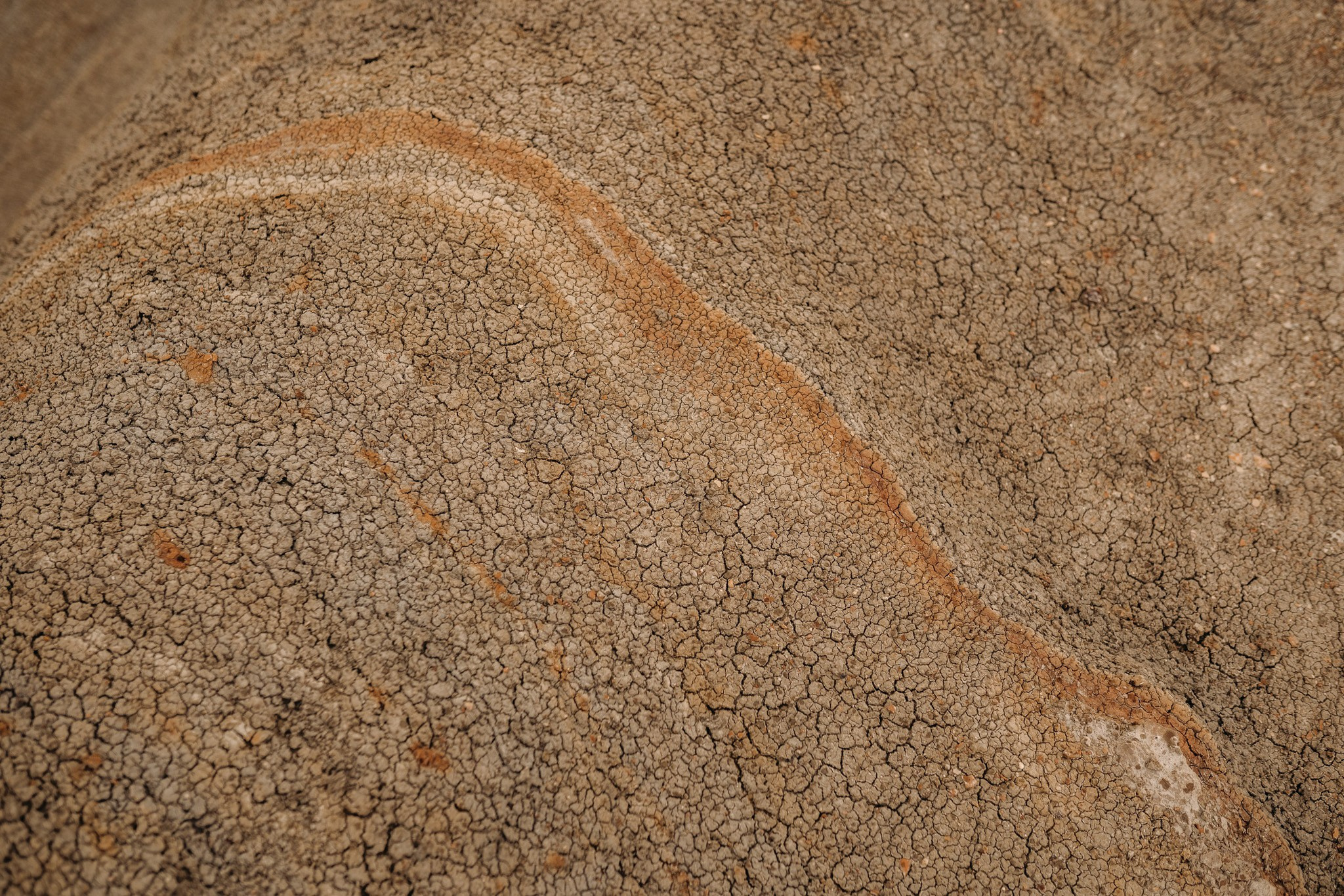 Gorgeous wedding day in Drumheller, Alberta May 2024. Wedding and family photographer in Calgary Kate Beliaeva