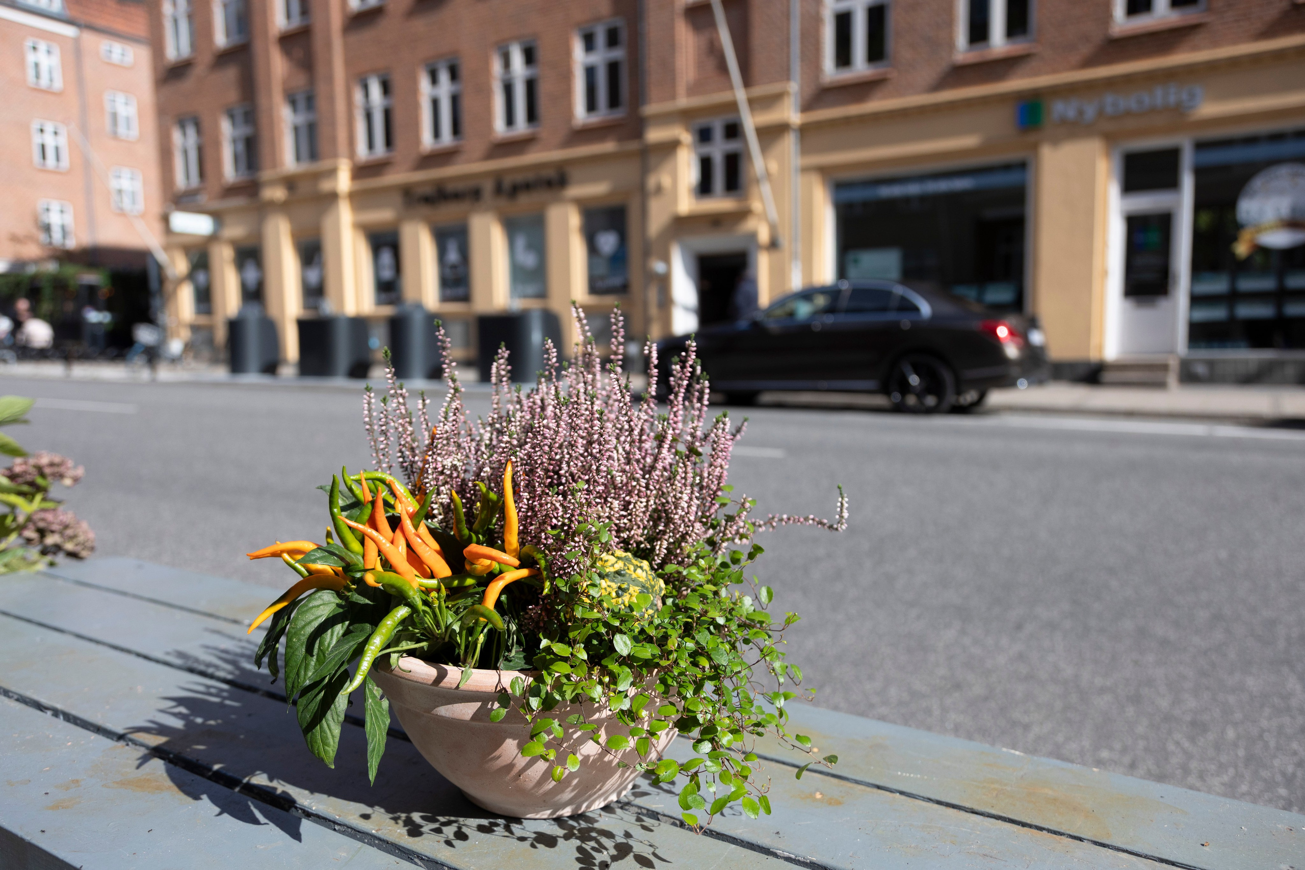 Gavekurve i Aarhus. Akropolis Blomster | Din døgn blomsterbutik i Aarhus