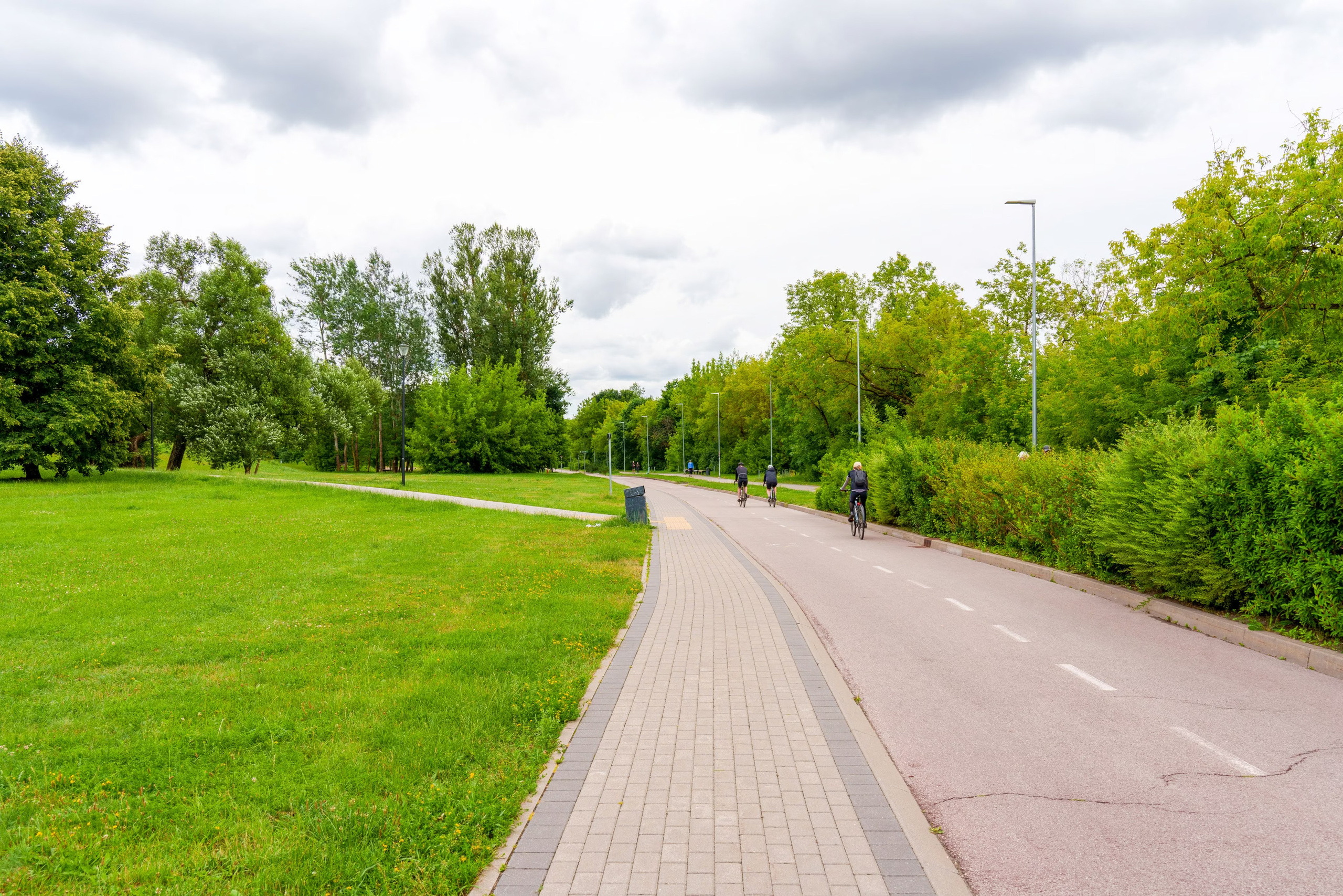 Asfaltuotas pėsčiųjų ir dviračių takas parke, vedantis per vaizdingą žalią zoną.