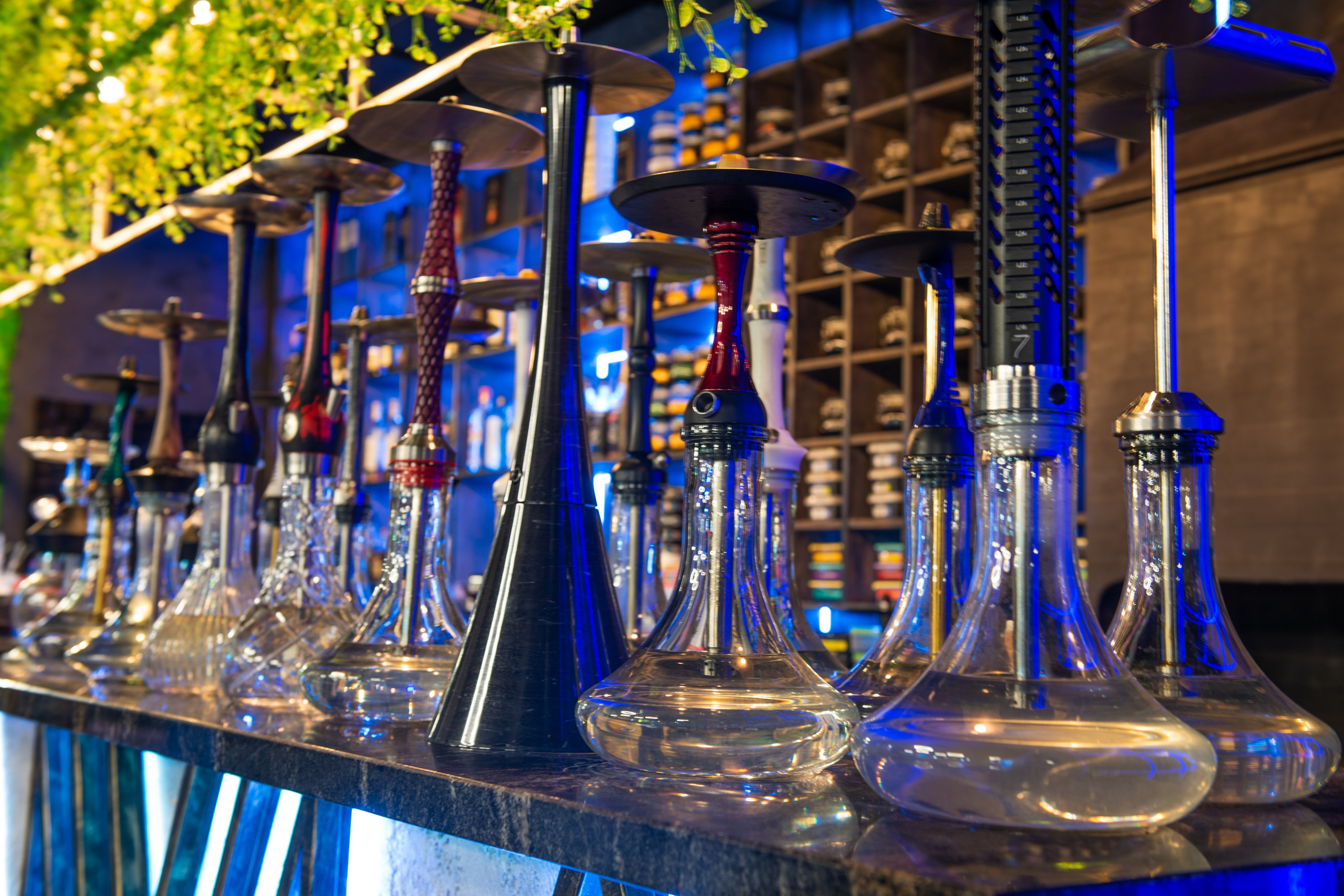 Кальянная Мята Platinum Химки. ФОТОГРАФ МЕКСИКА КИНТАНА-РОО