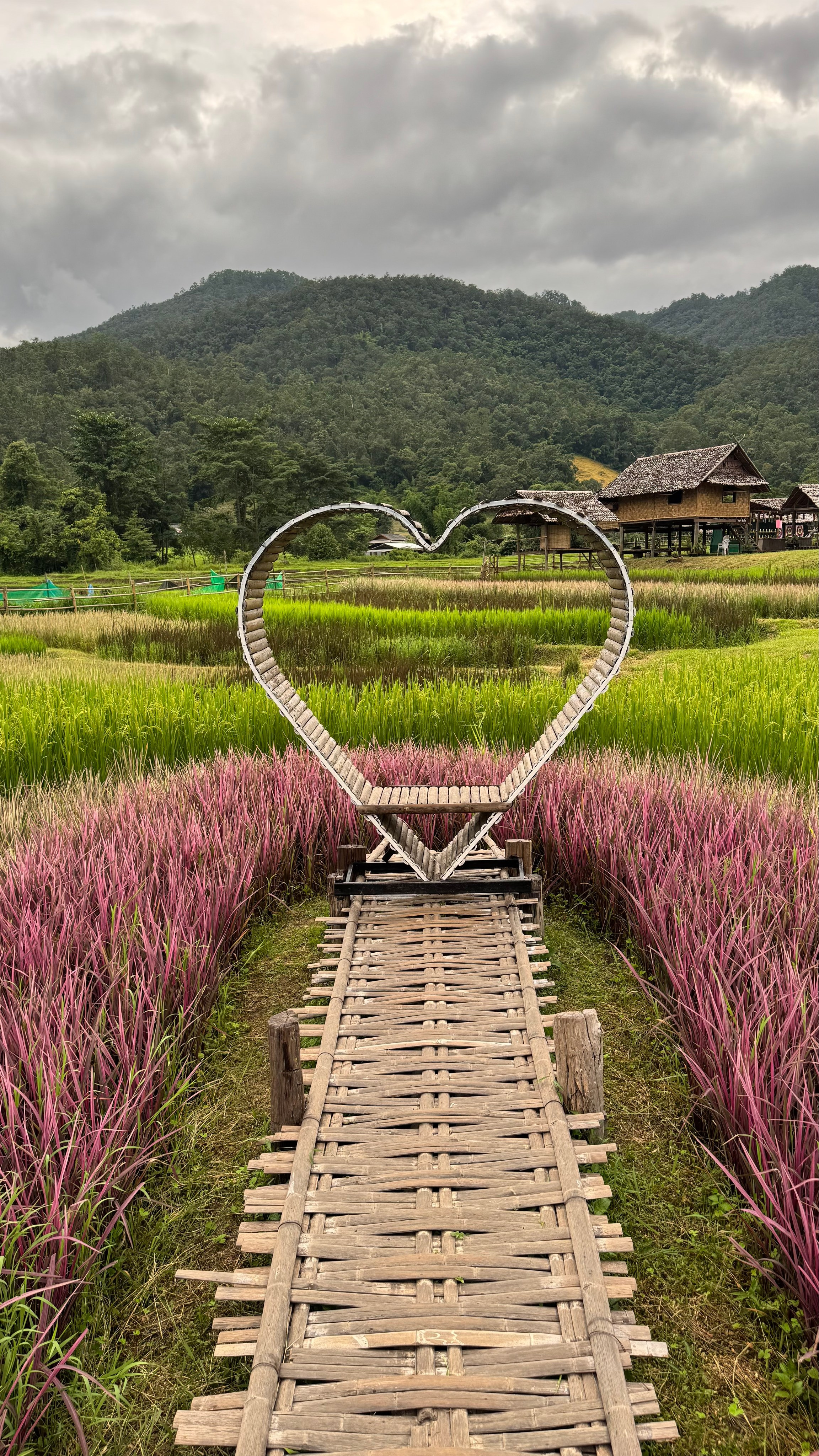 Совместное путешествие на север Таиланда. Женский клуб в Паттайе