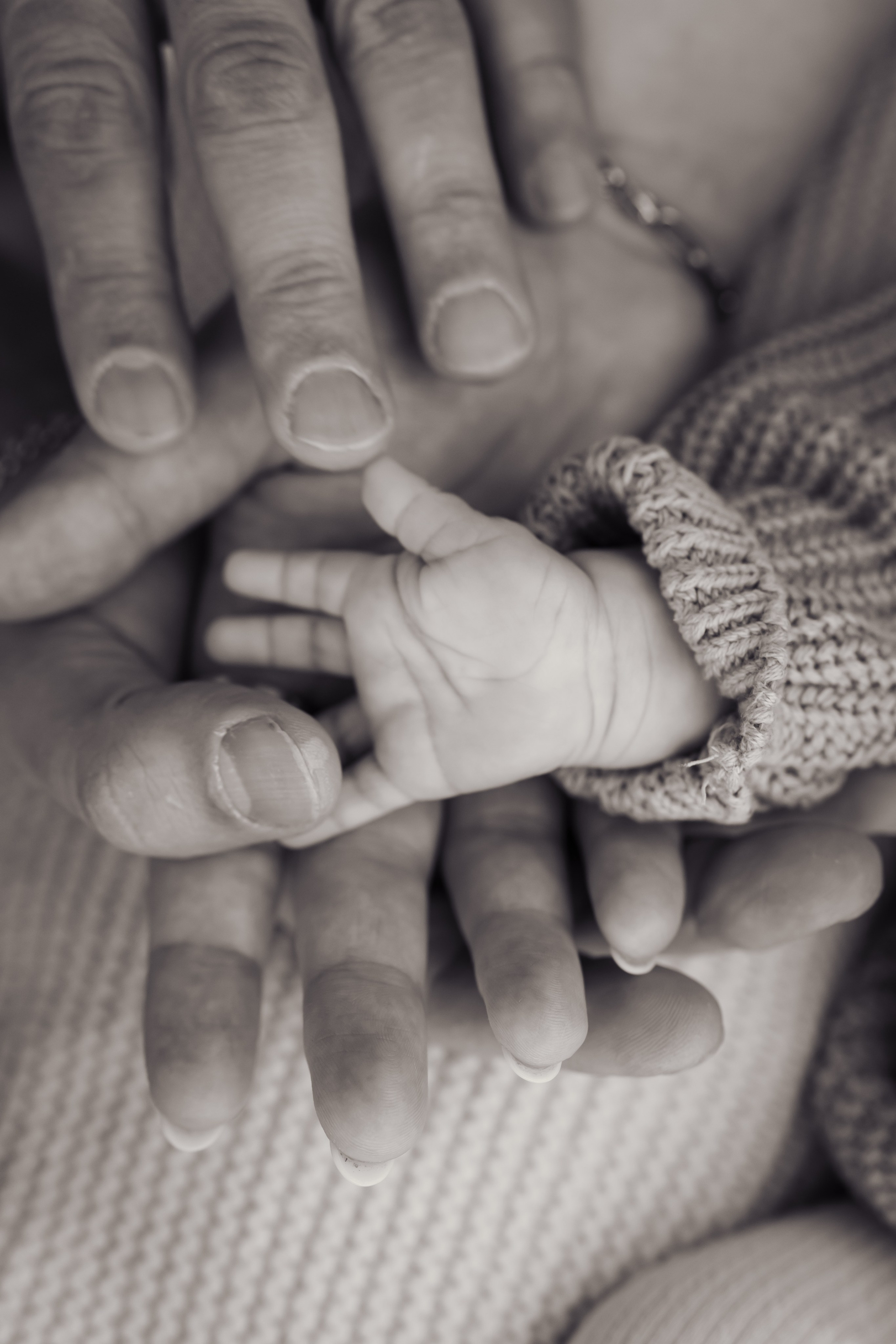 PRICES. Dash_photopic.I’m Daria New York based photographer