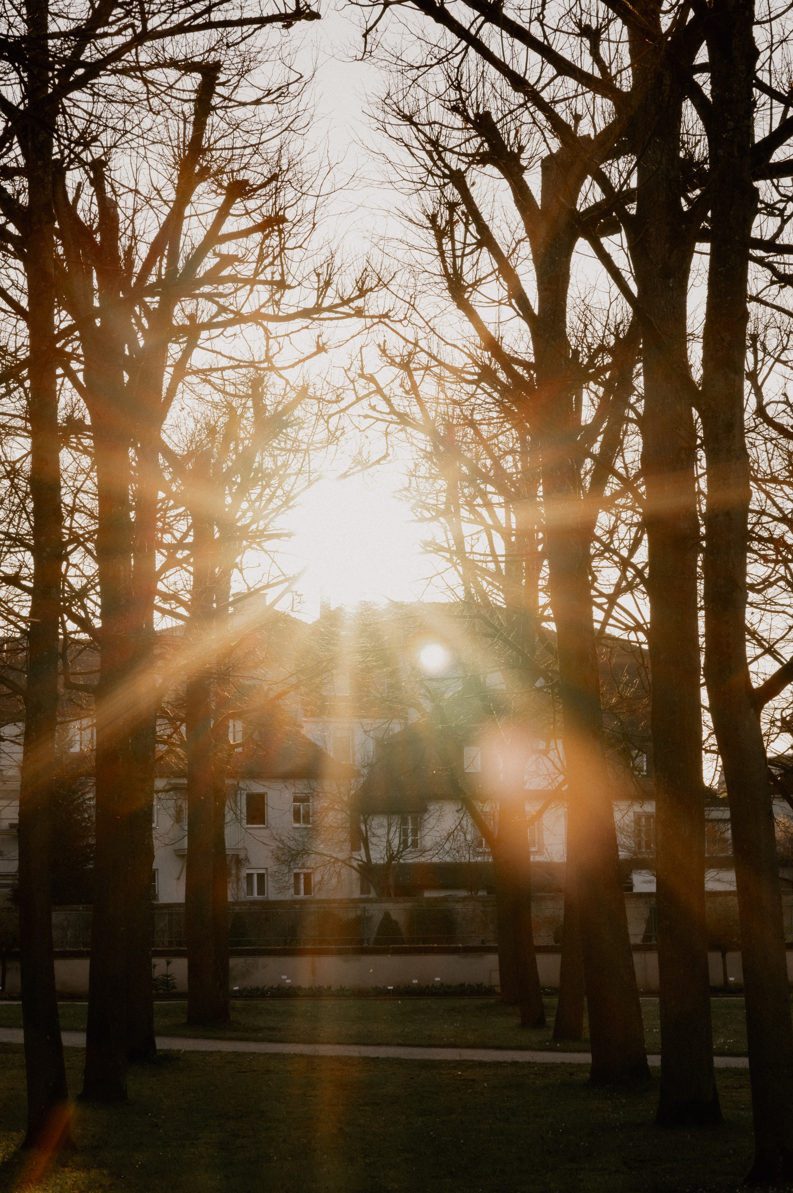 Hofgarten Ansbach beim Sonnenuntergang.