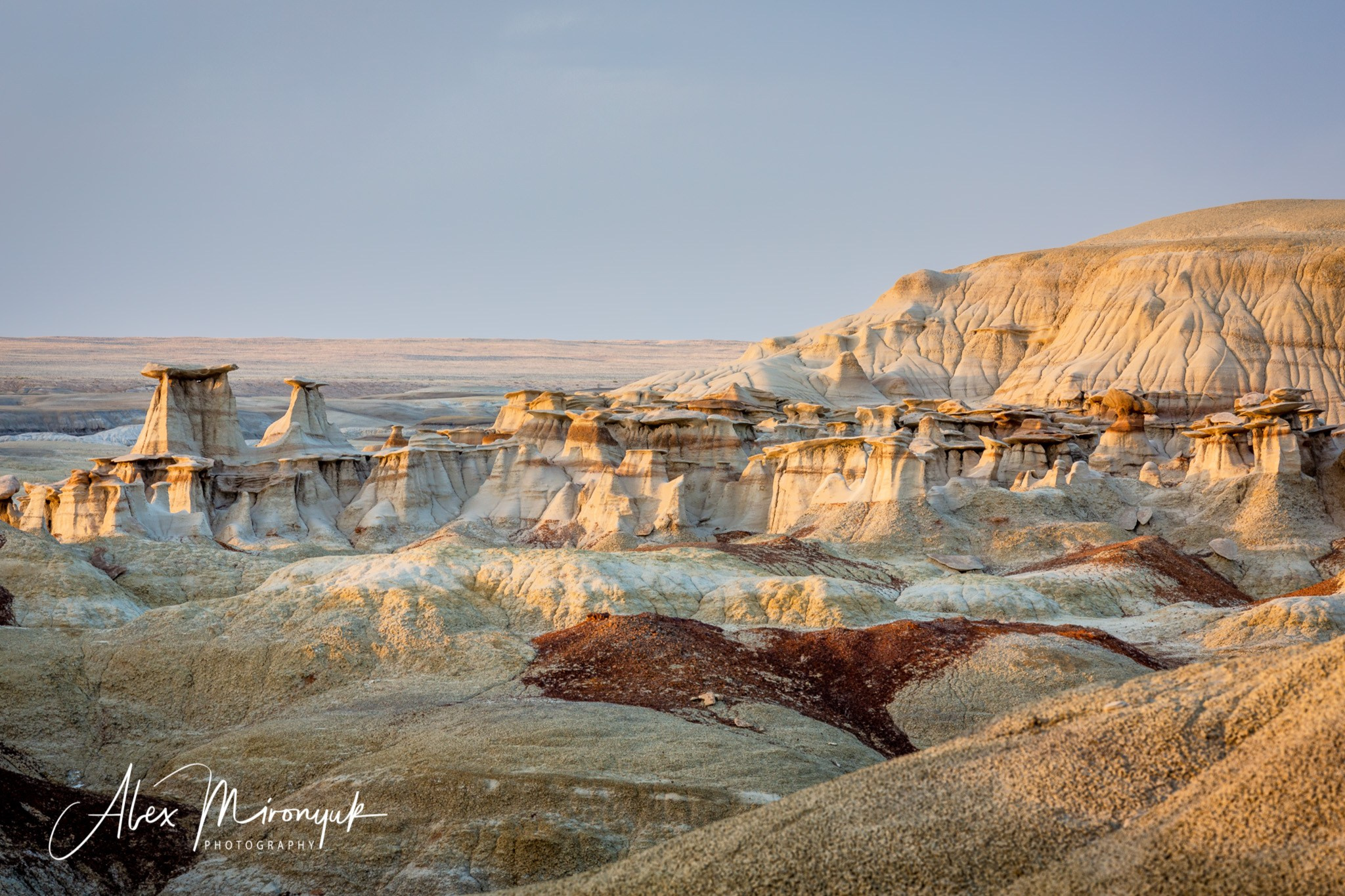 Eagle’s View American Southwest. Pet, Senior, Landscape, portrait studio, photographer in Miami and Sou