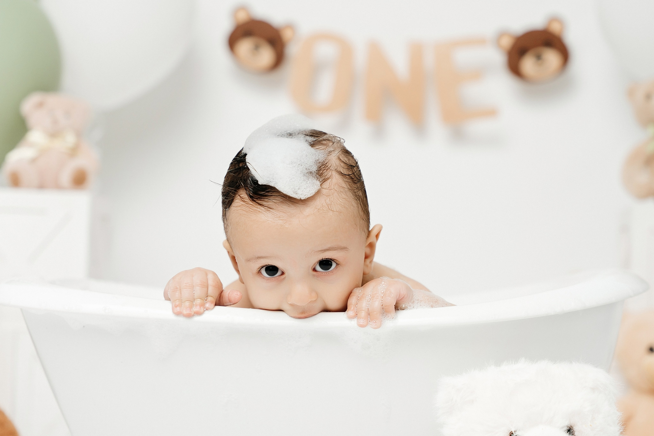 Teddy Bear One Year Cake Smash Photos. Newborn and family photographer. Hills District. Sydney