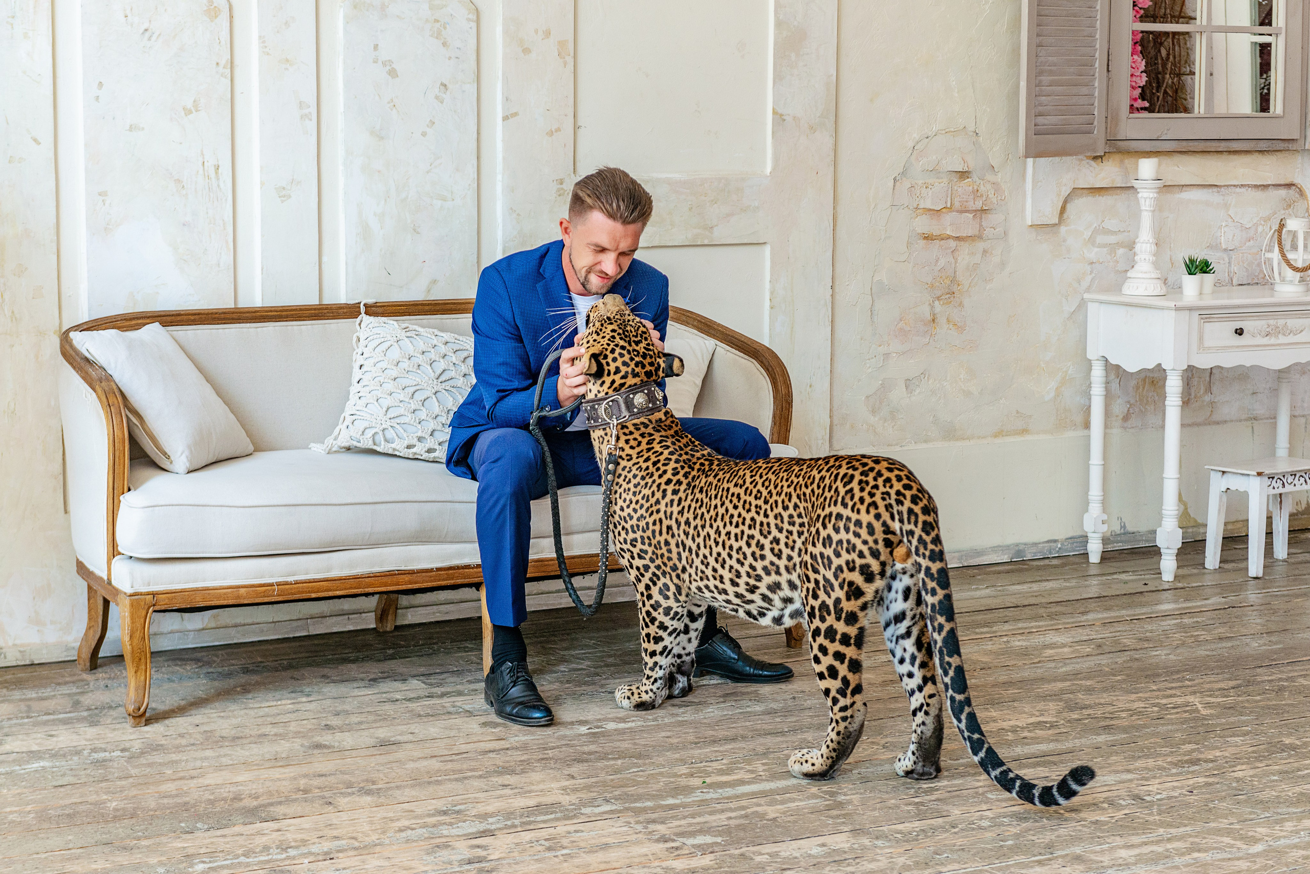 Photosession in the studio with a leopard. FOTÓGRAFO MÉXICO QUINTANA ROO