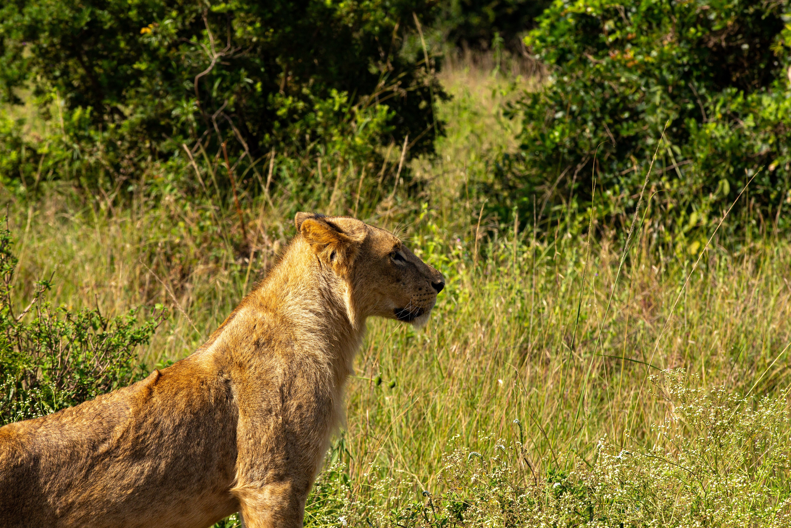 Corporate Event Photography. Nick Ouma Photography I Best Event photographer based in Nairobi, Kenya