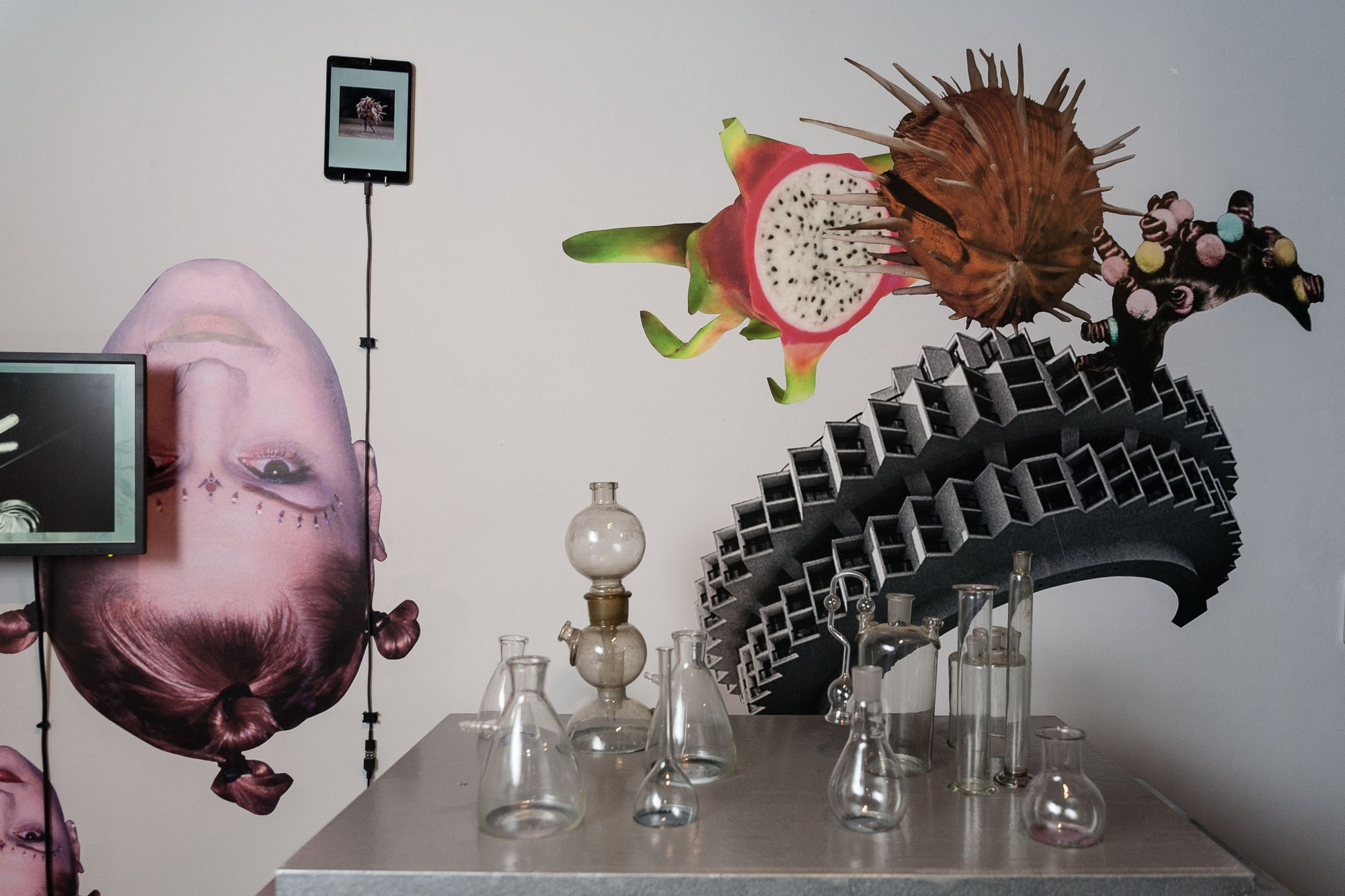 Laboratory X. Alina Kugush