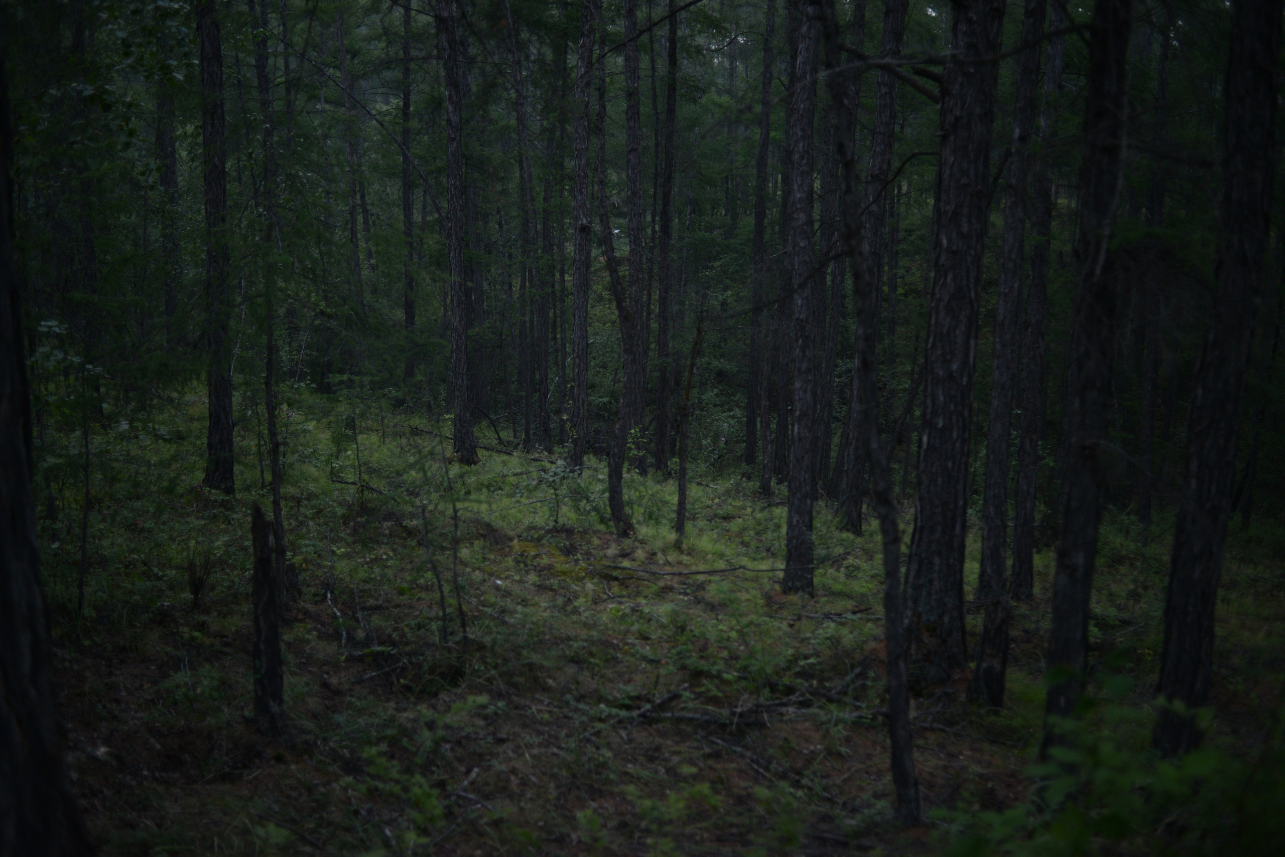 Le Chemin Céleste. Ayar Kuo