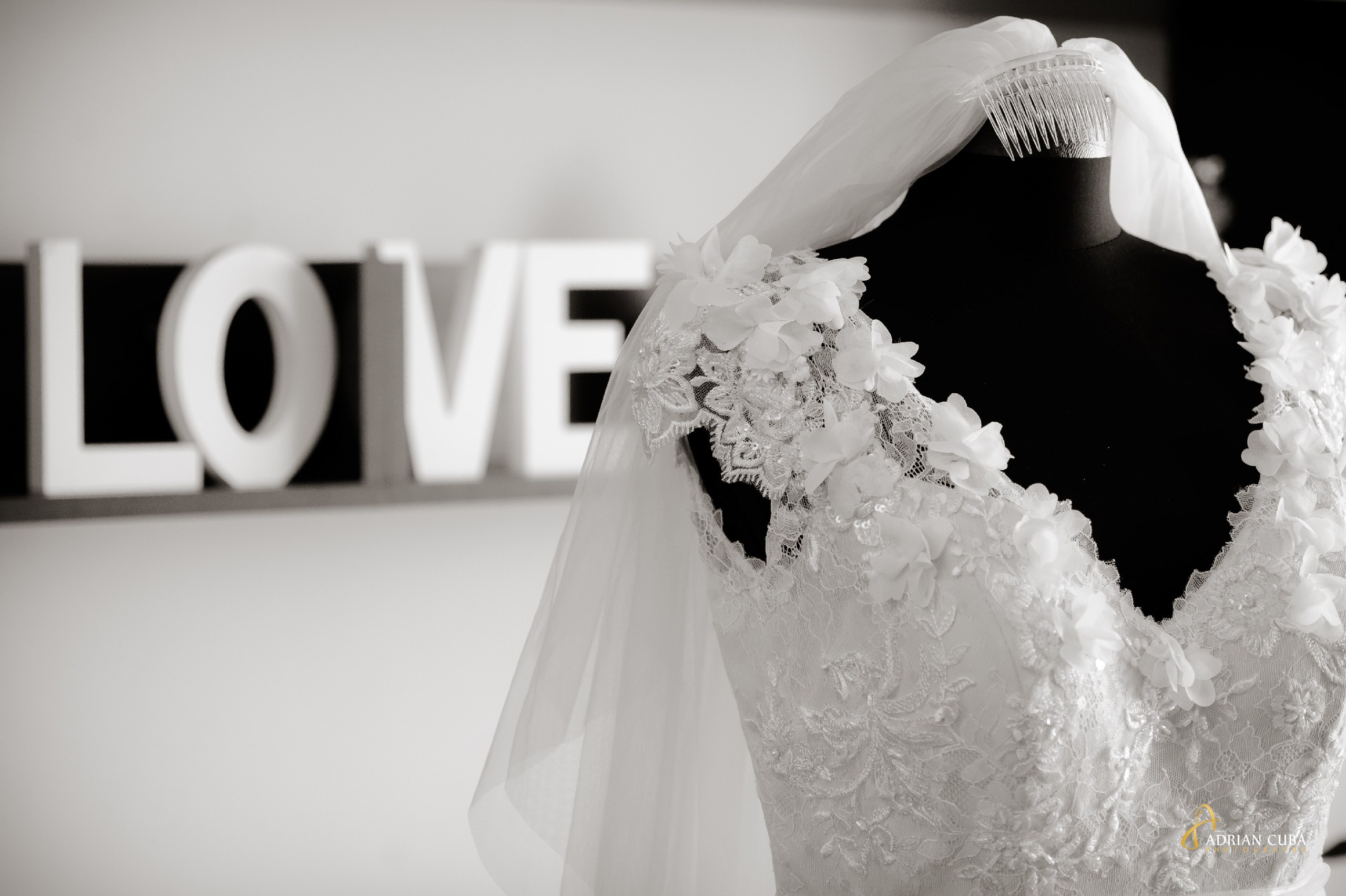 Fotograf nunta Iasi | Adrian Cuba — servicii profesionale de fotografie de nunta