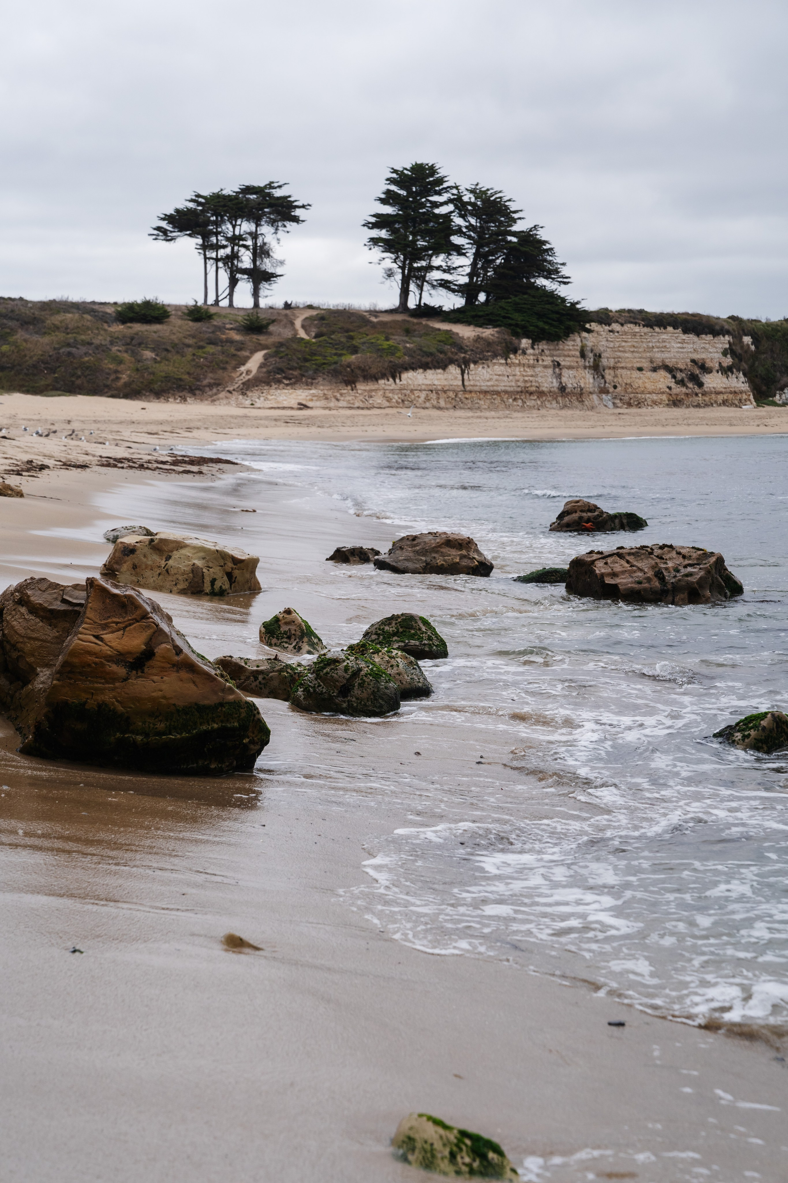 Barbarica. Photography