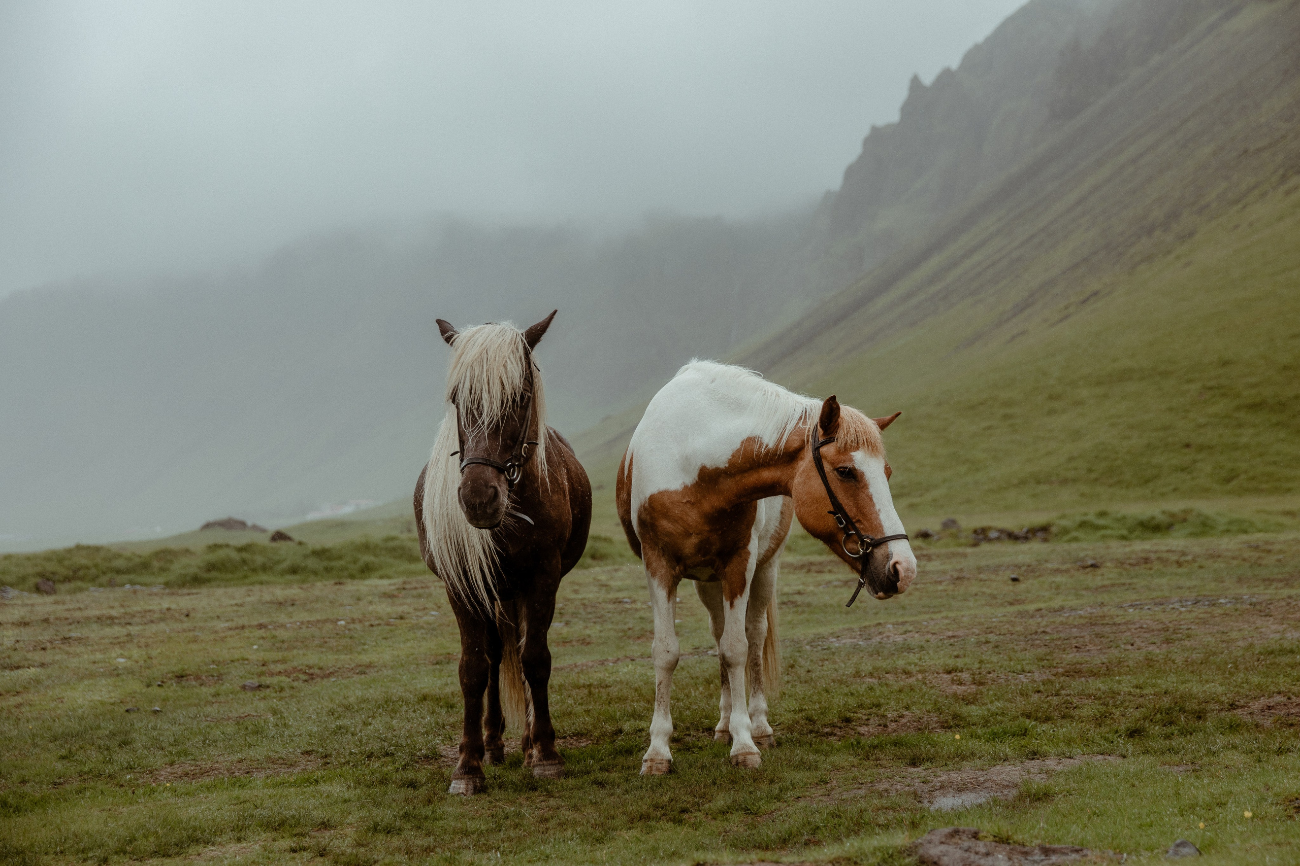 Elopement at Kvernufoss Waterfall. Iceland elopement photographer & videographer