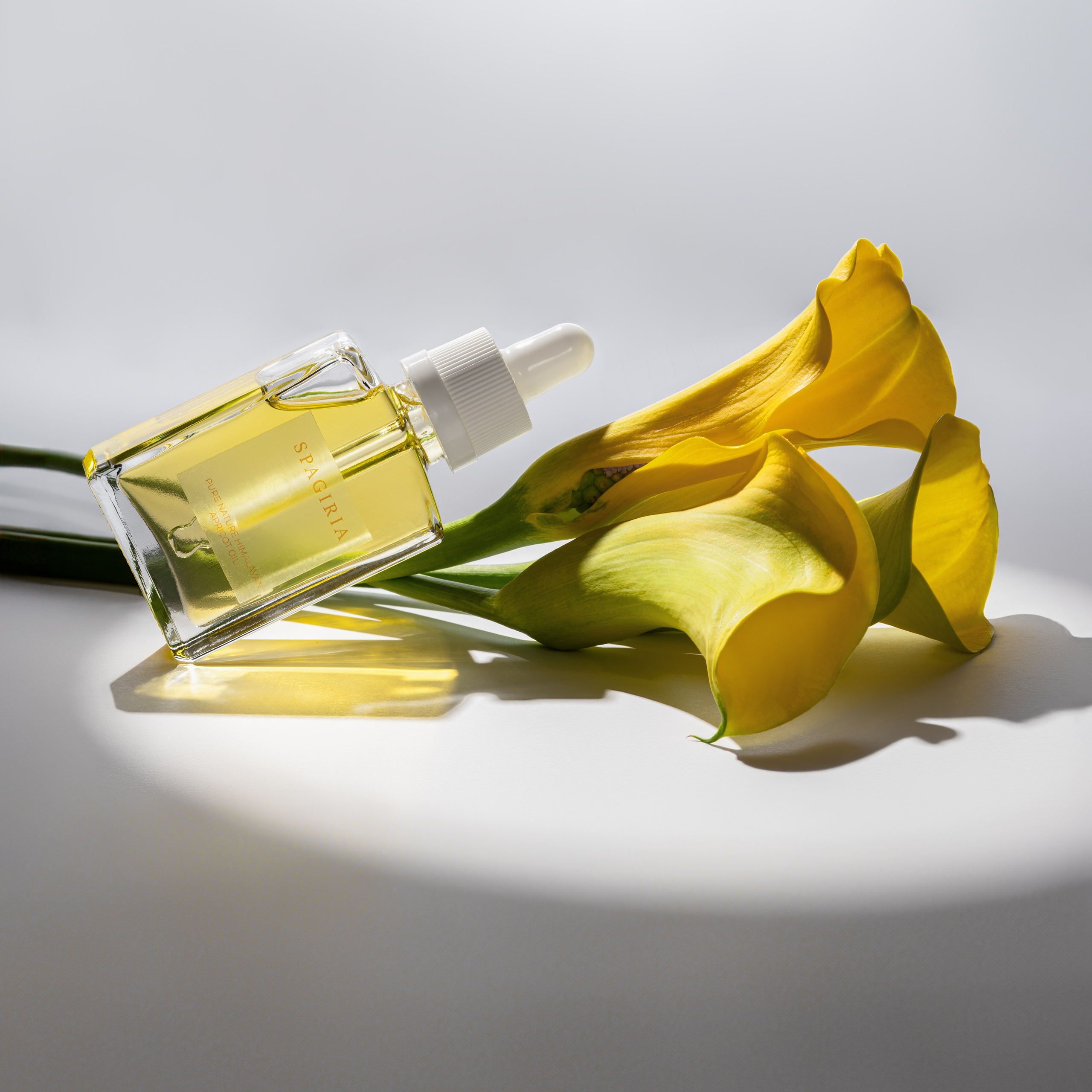 Fotografía de Contenido