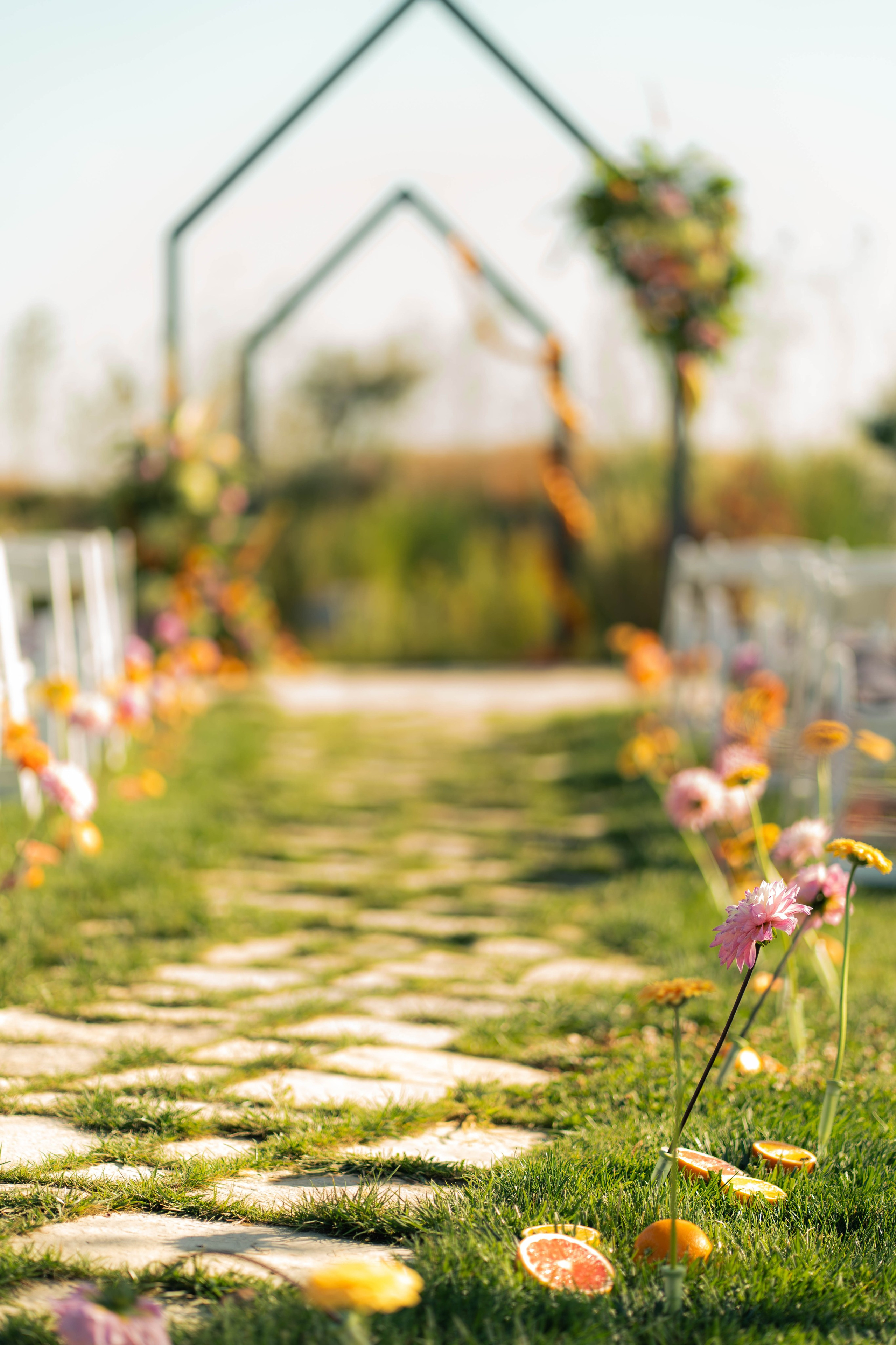 Fotograf profesionist Bucuresti - Tudor Banescu