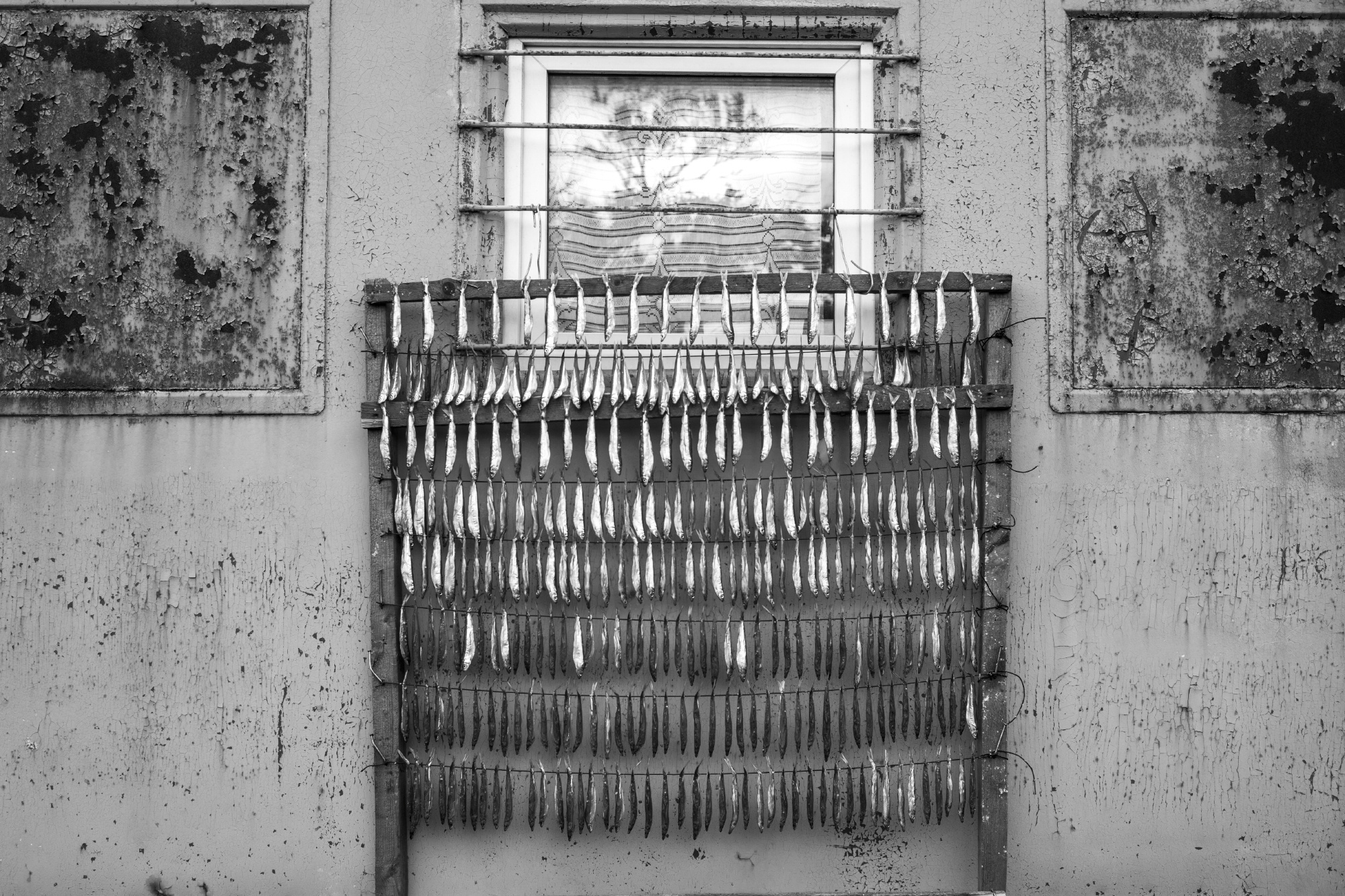 ЖД. Grigoriy Yaroshenko photography | Фотограф Григорий Ярошенко