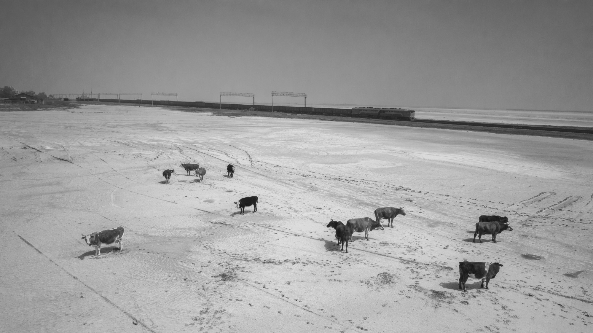 ЖД. Grigoriy Yaroshenko photography | Фотограф Григорий Ярошенко