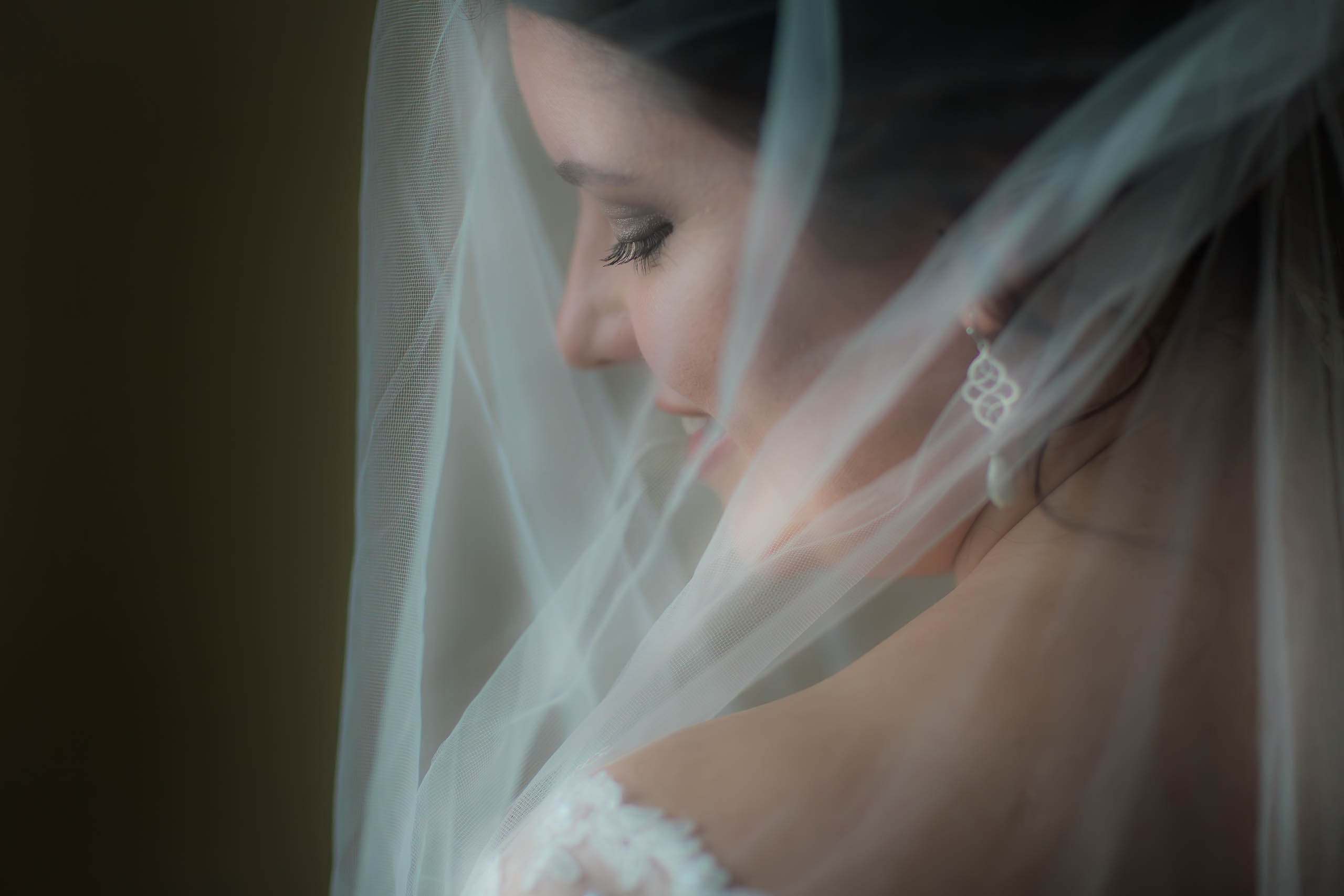 Northeast Ohio (Cleveland, Youngstown, Akron) Wedding Photography