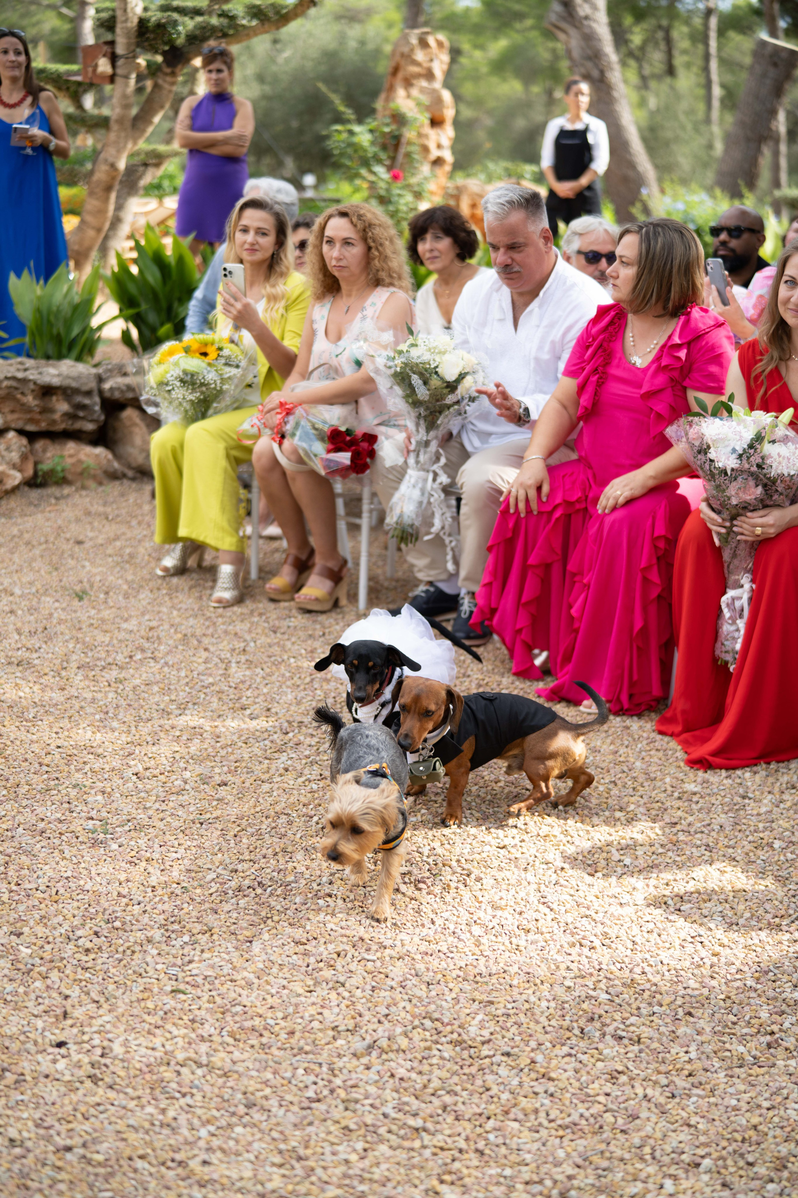 Wedding. Фотограф у Пальма де Майорка