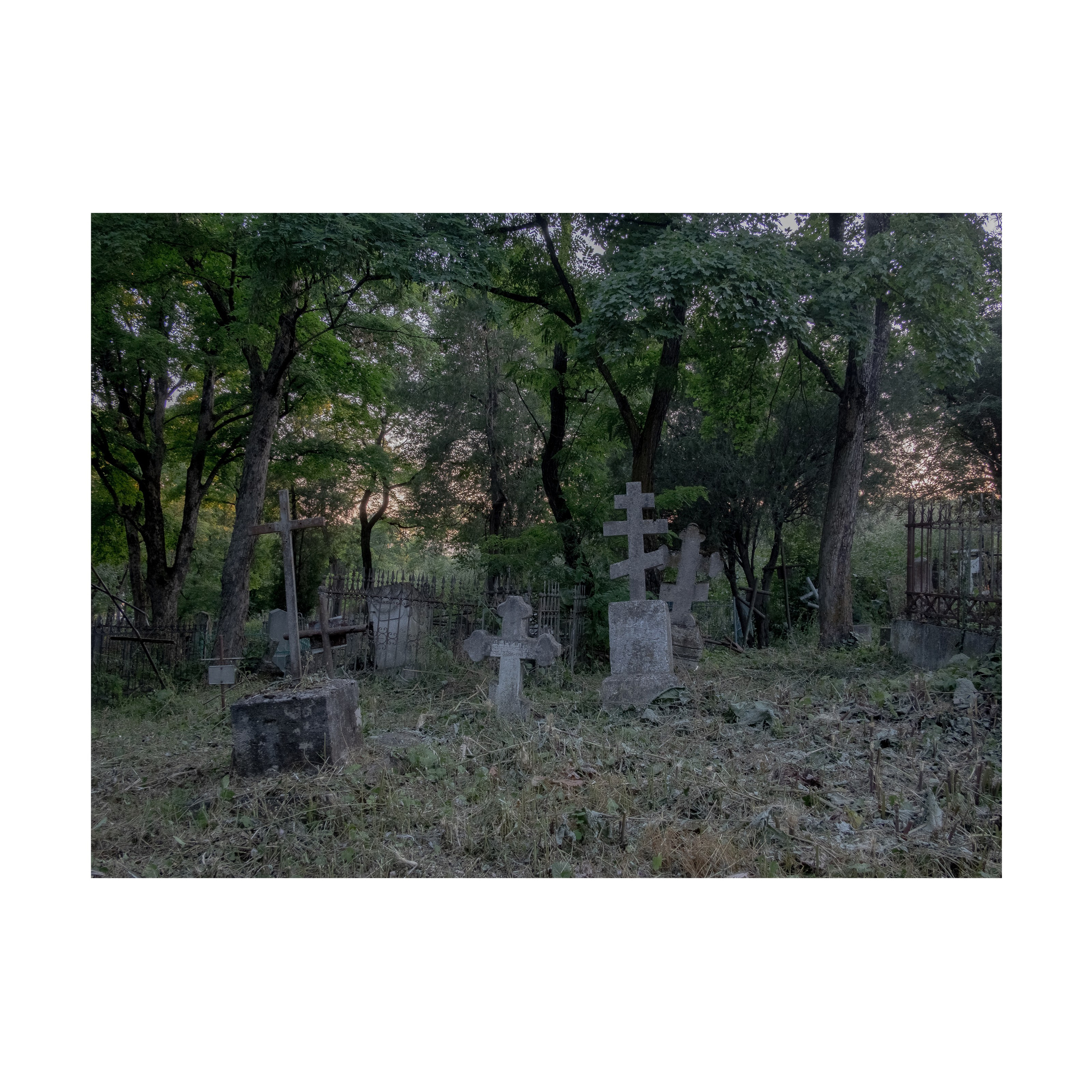 Phoenix. Nelly Elagina