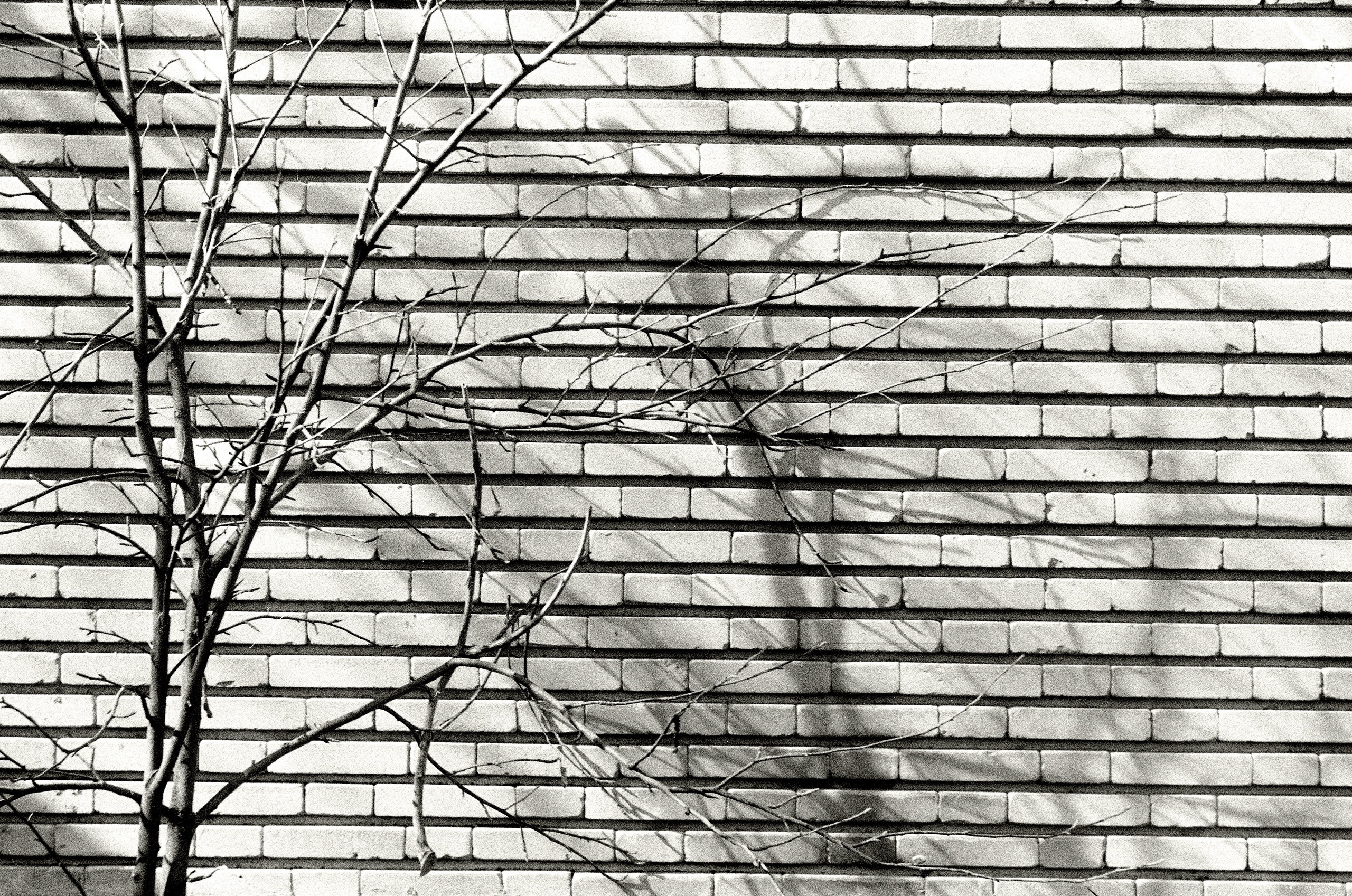 Arman Milani, Brand-Focused Video Production & Content Creation, Based in Berlin