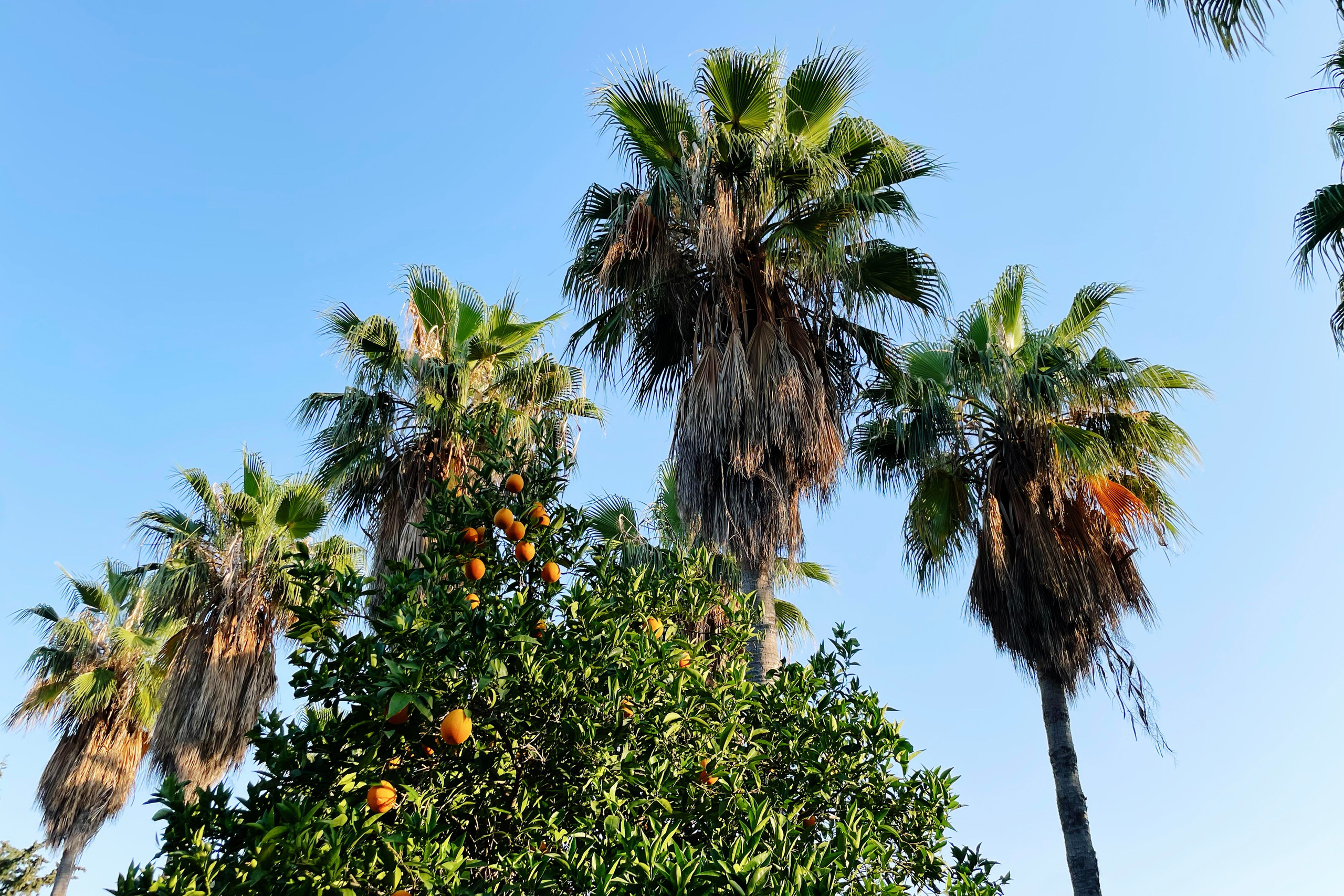 Йога-Ретрит в Турции