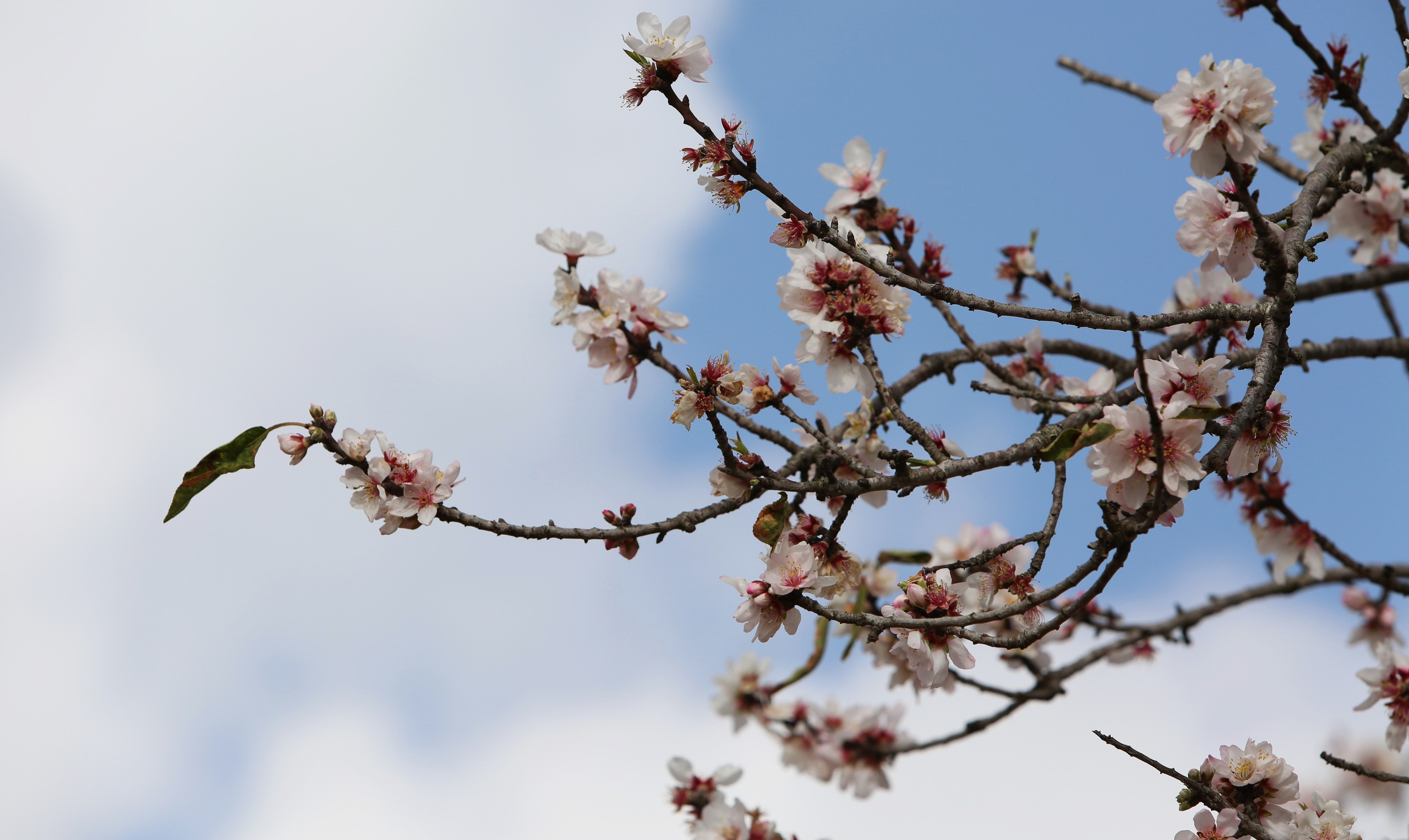 ABOUT. Portrait photographer in Europe. Aurora Balear in Balearic Islands, woman portrait photographer. Work in Spain